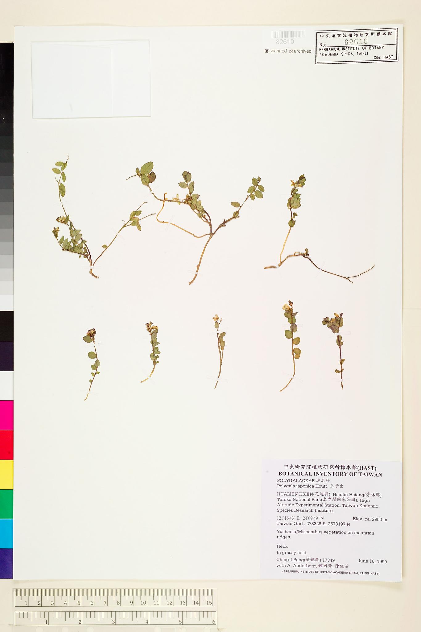 Sample image for viewer