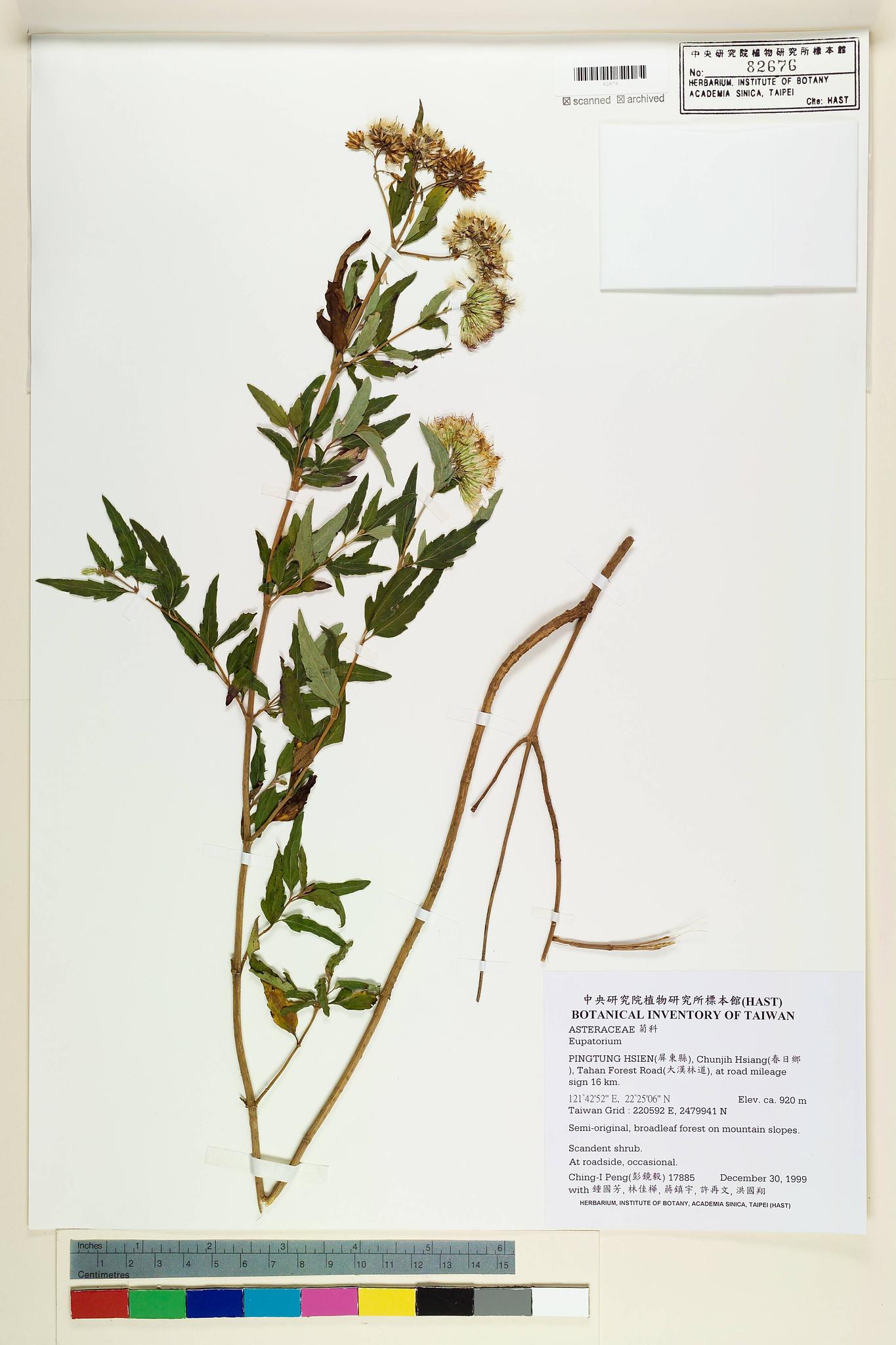 Sample image for viewer