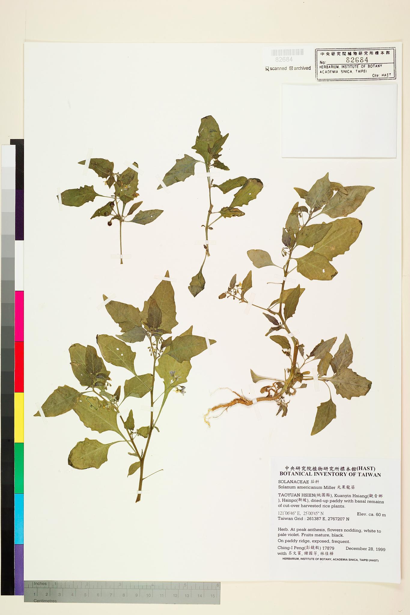 Sample image for viewer