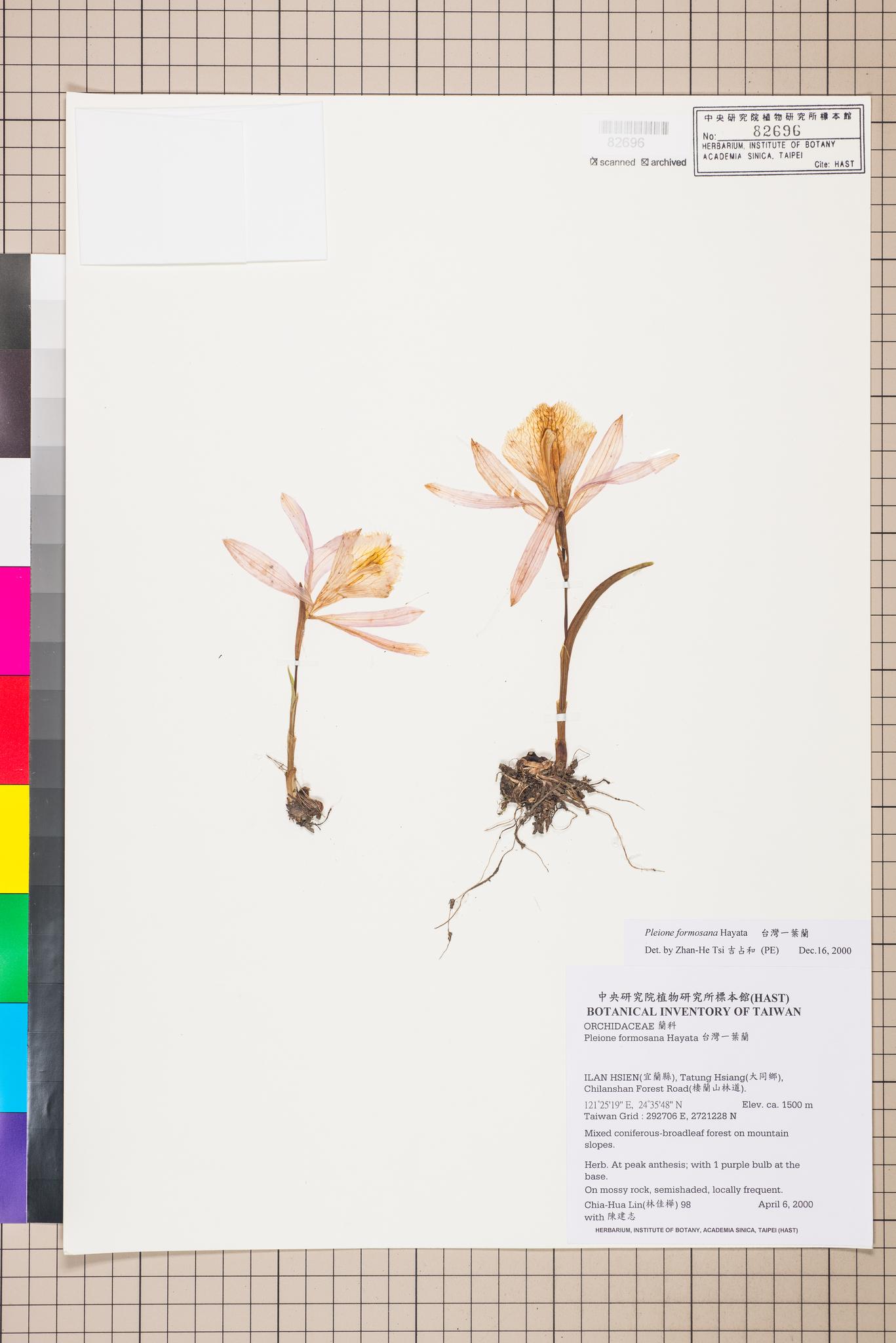 Sample image for viewer