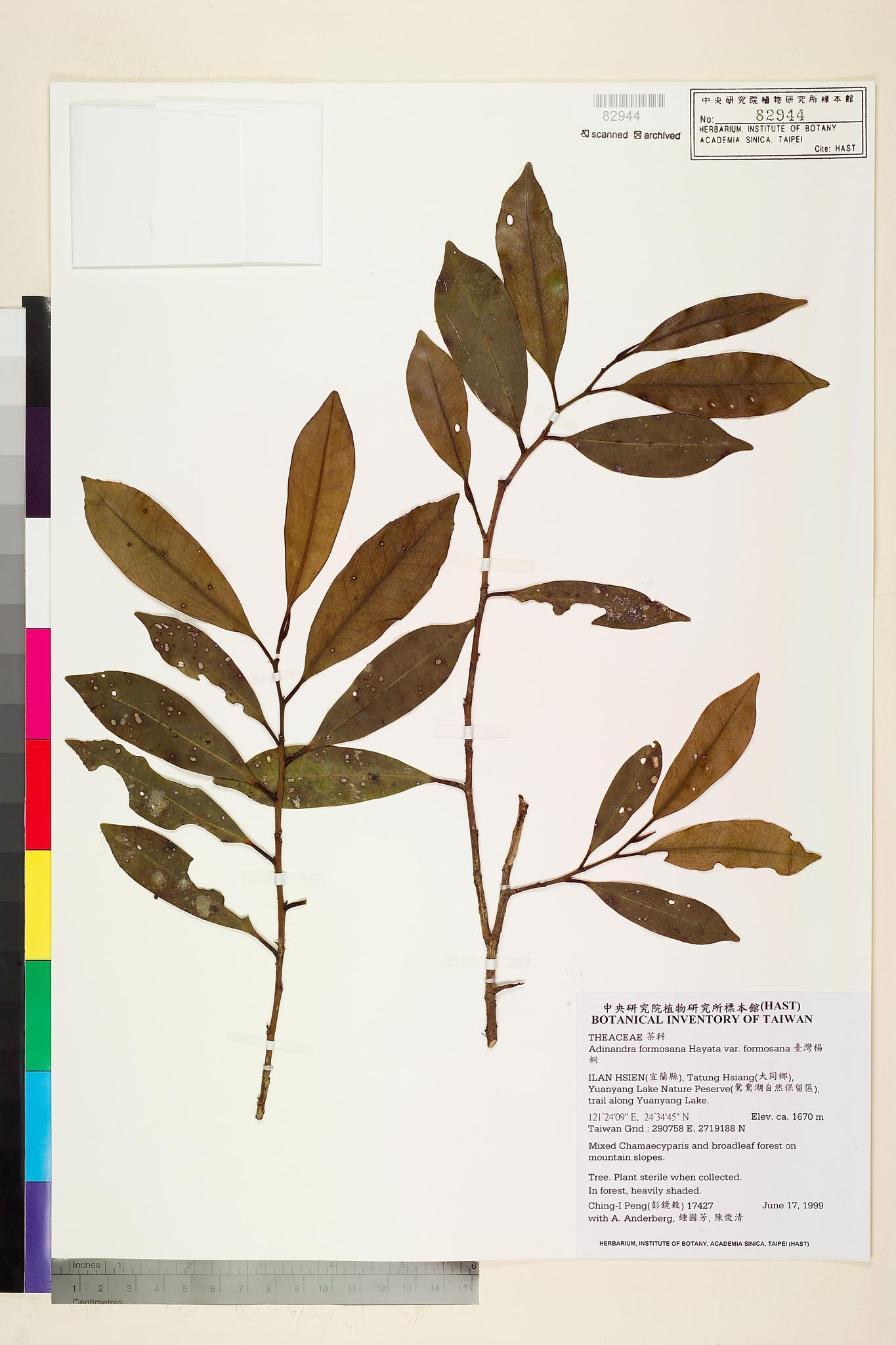 Sample image for viewer