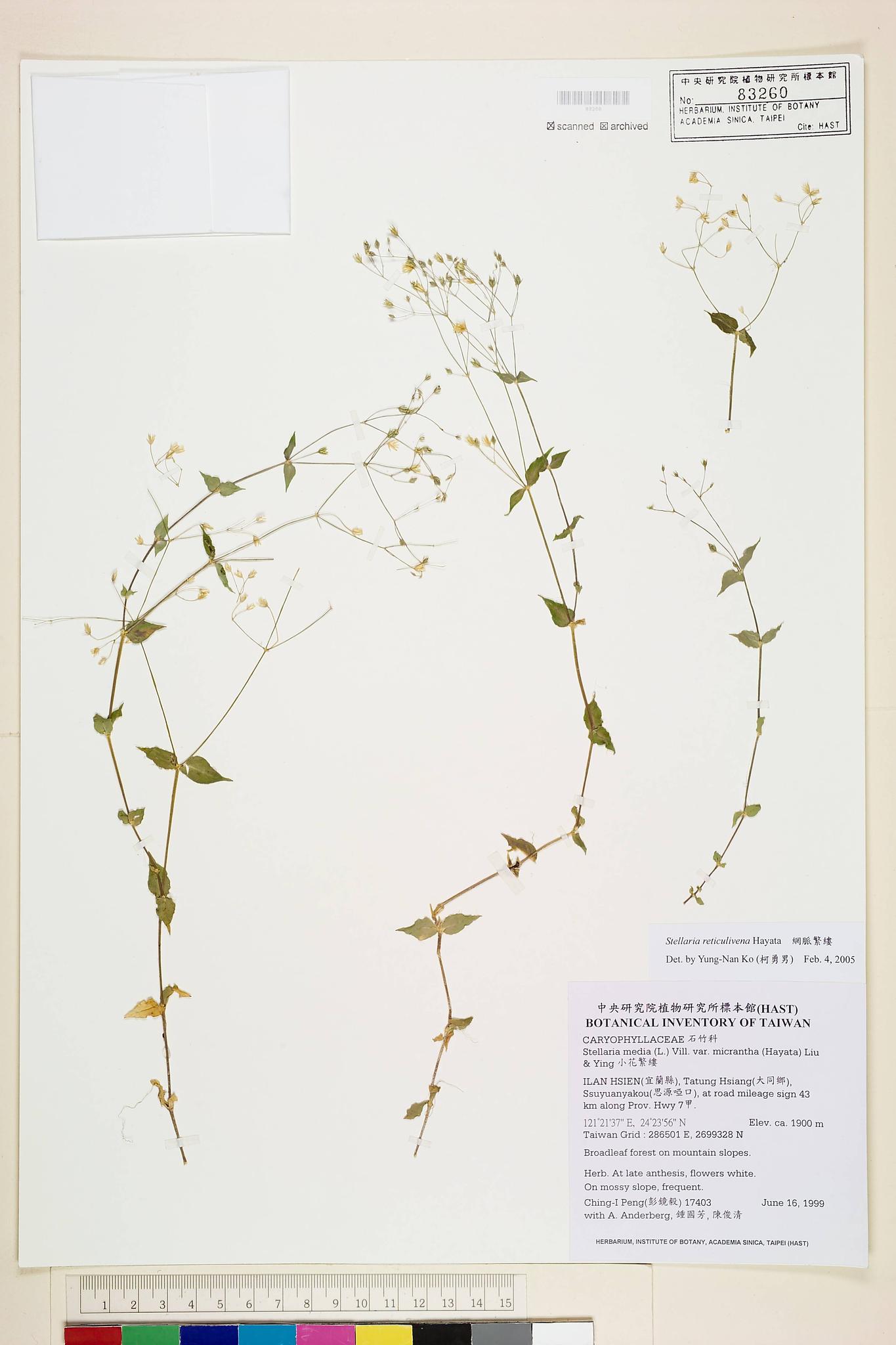 Sample image for viewer