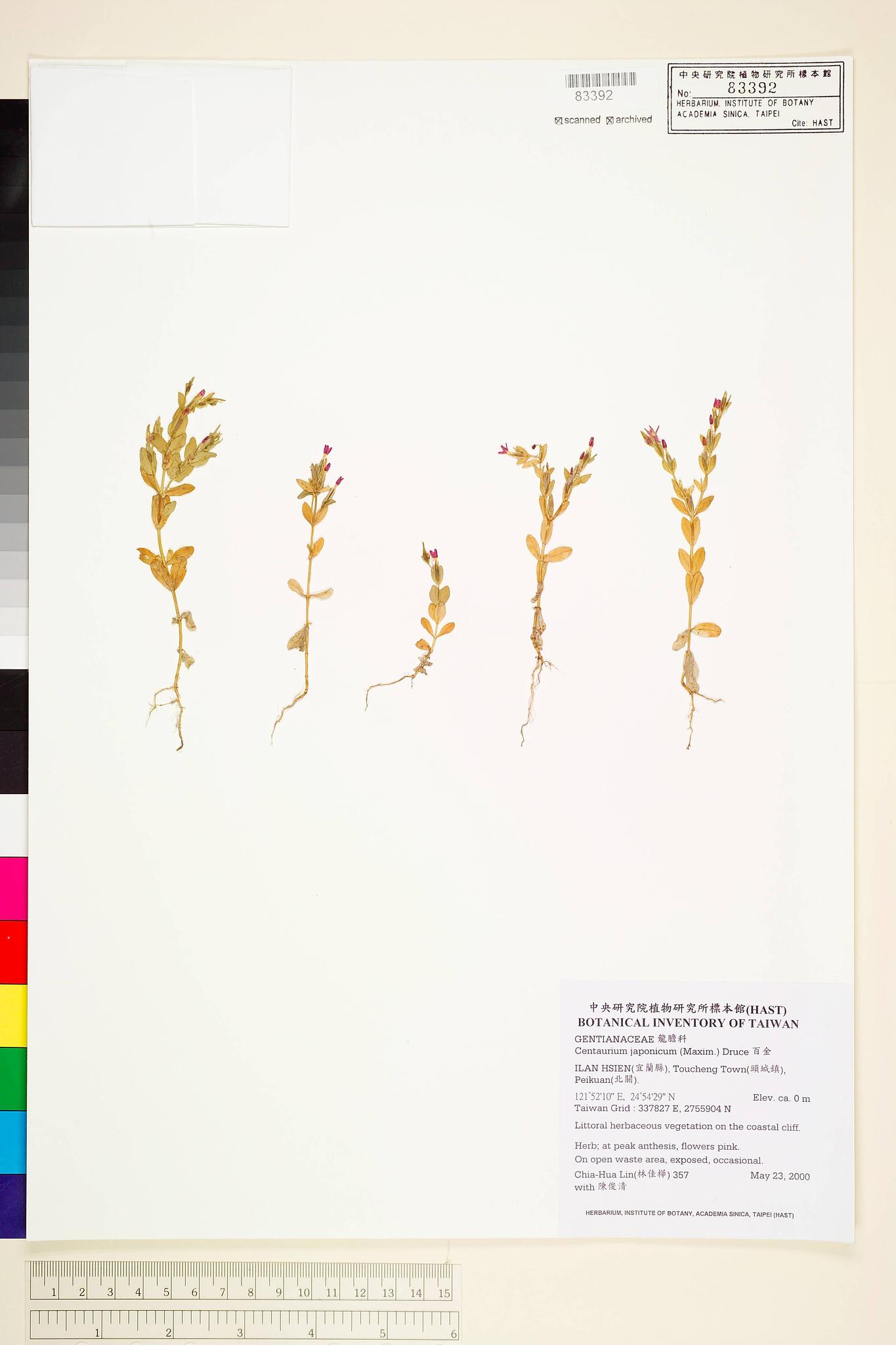 Sample image for viewer