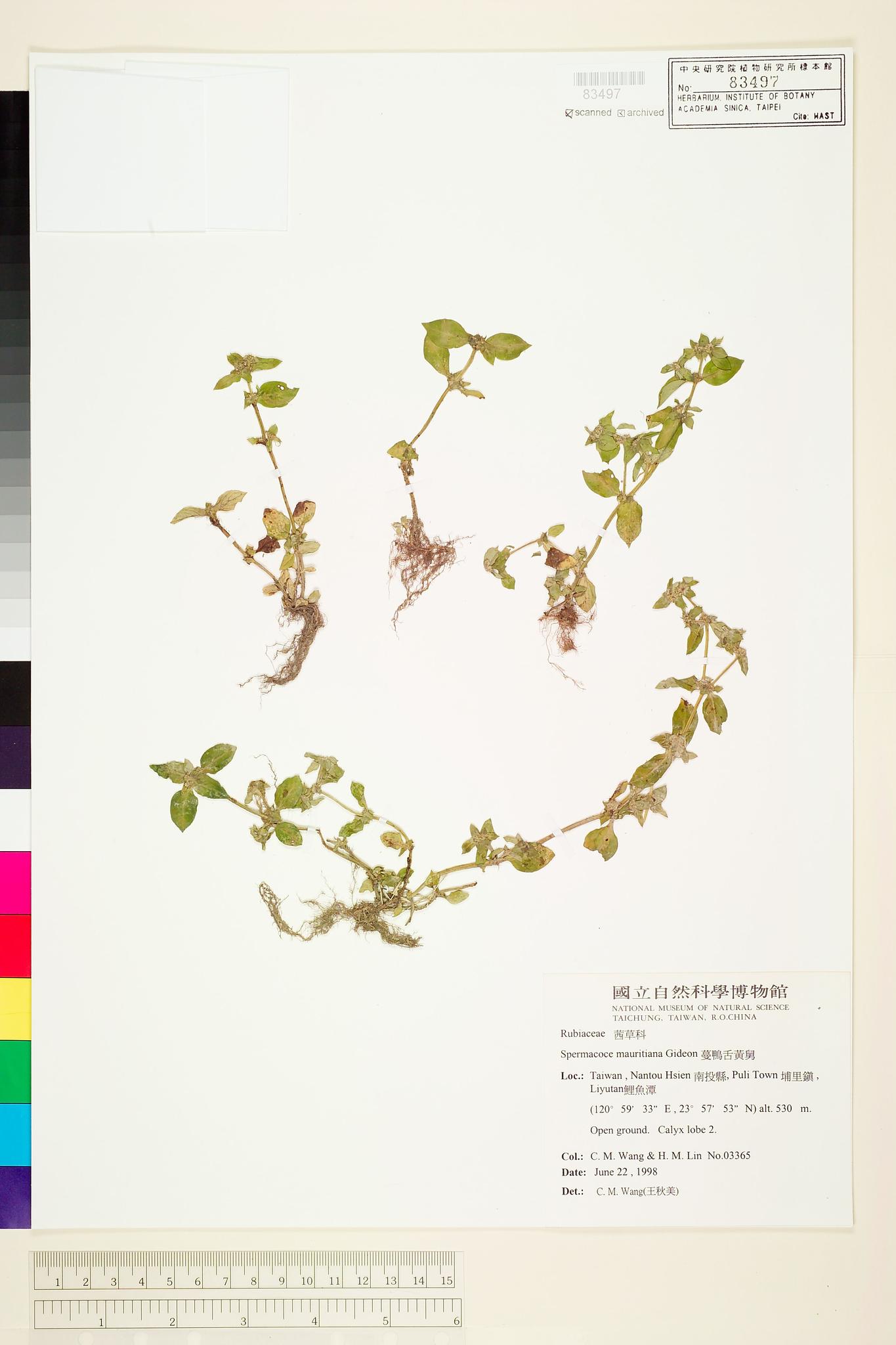 Sample image for viewer