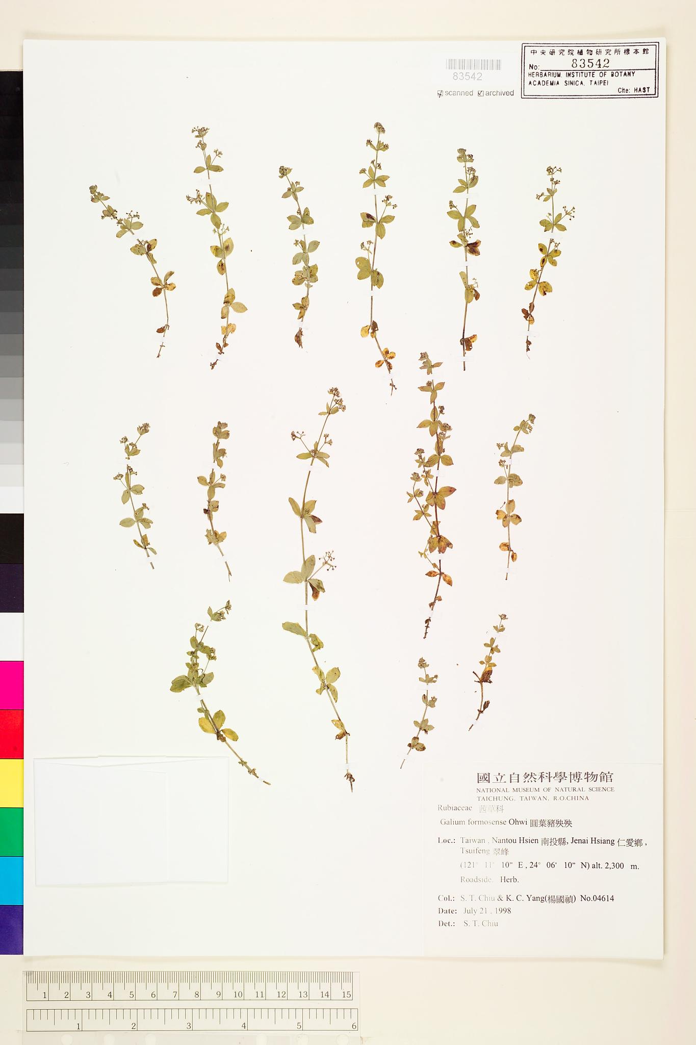 Sample image for viewer