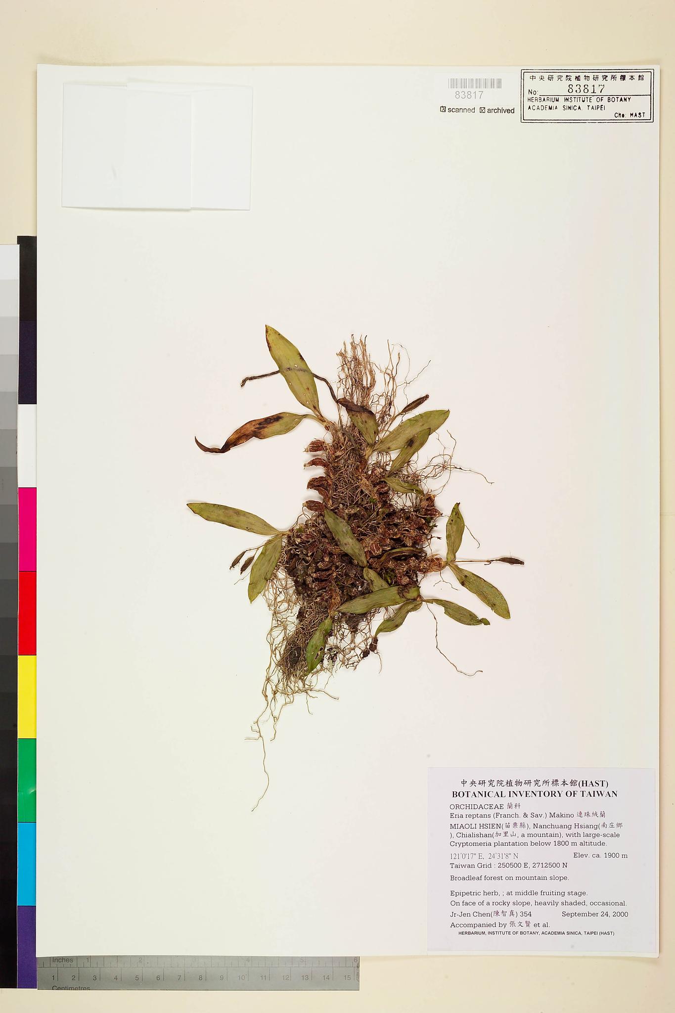 Sample image for viewer