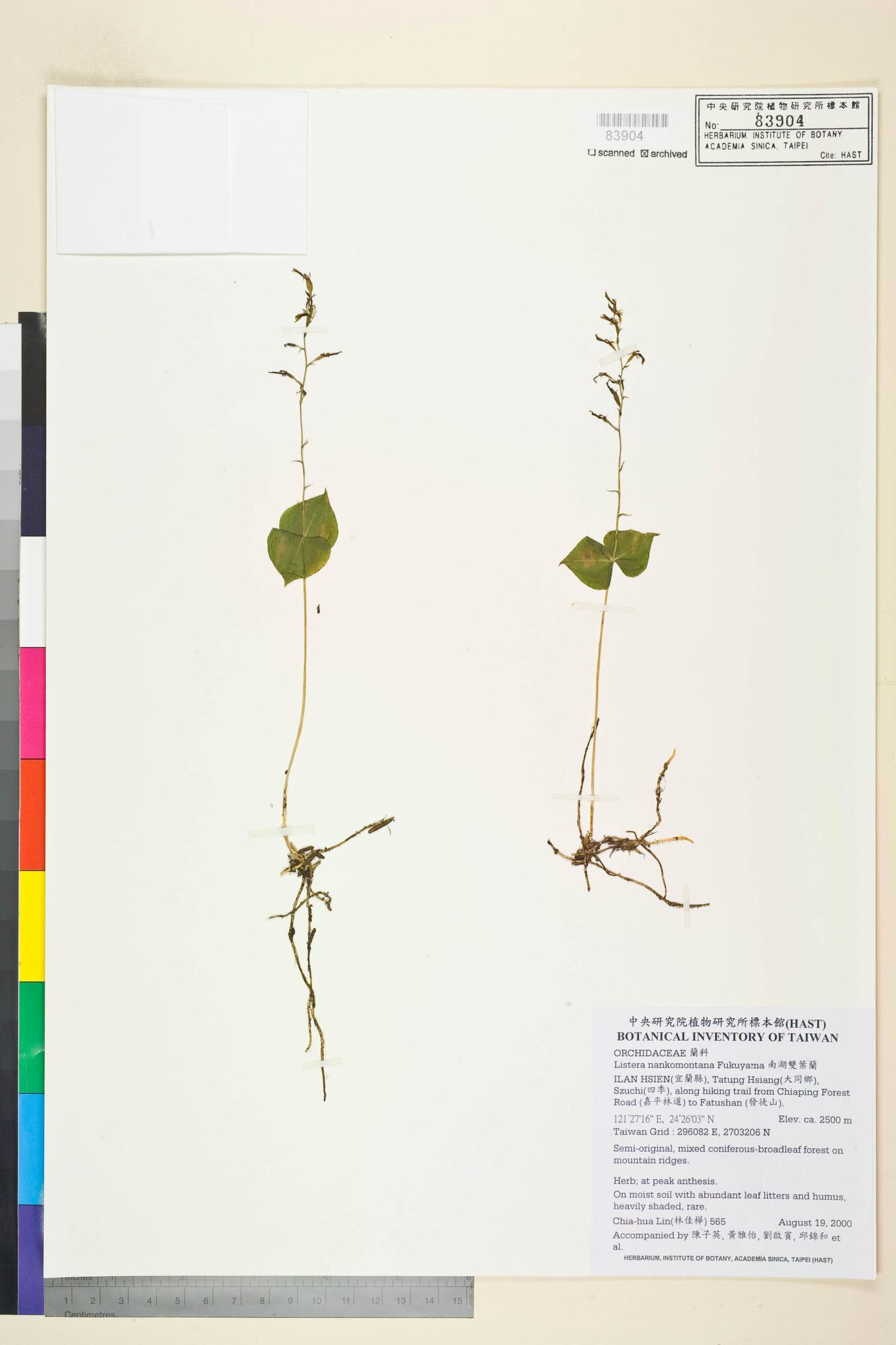 Sample image for viewer