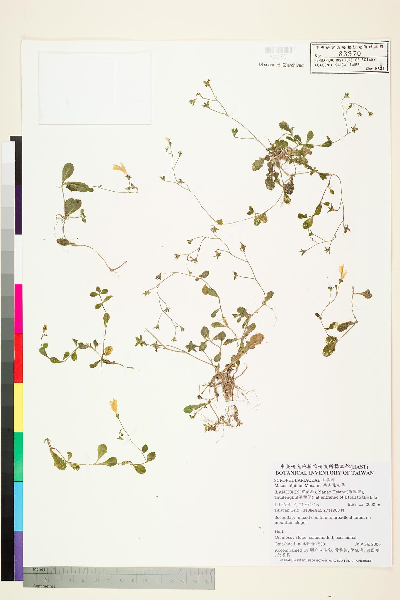 Sample image for viewer