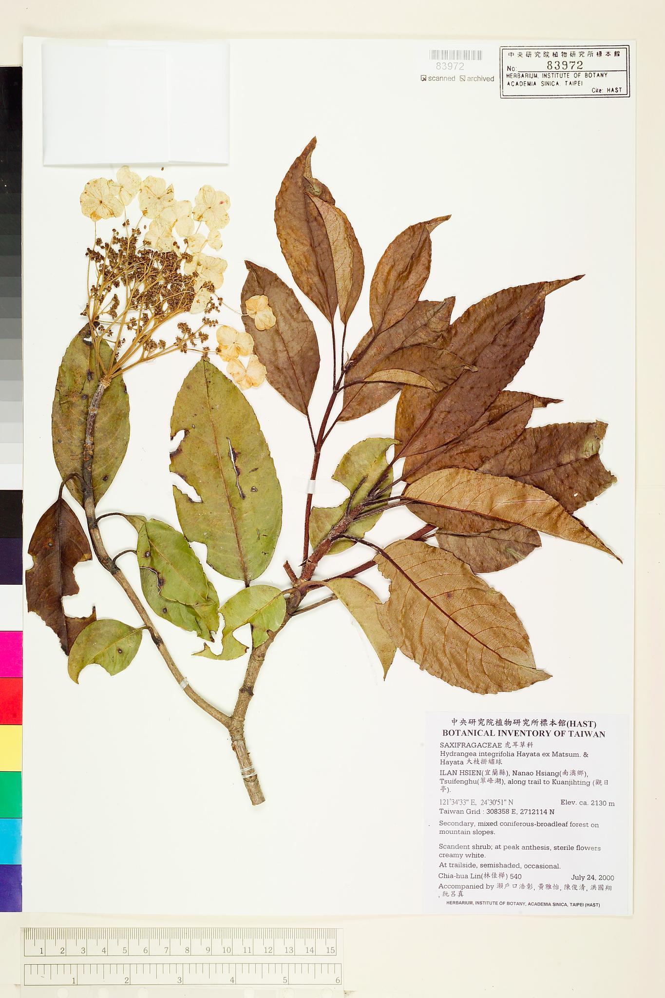 Sample image for viewer