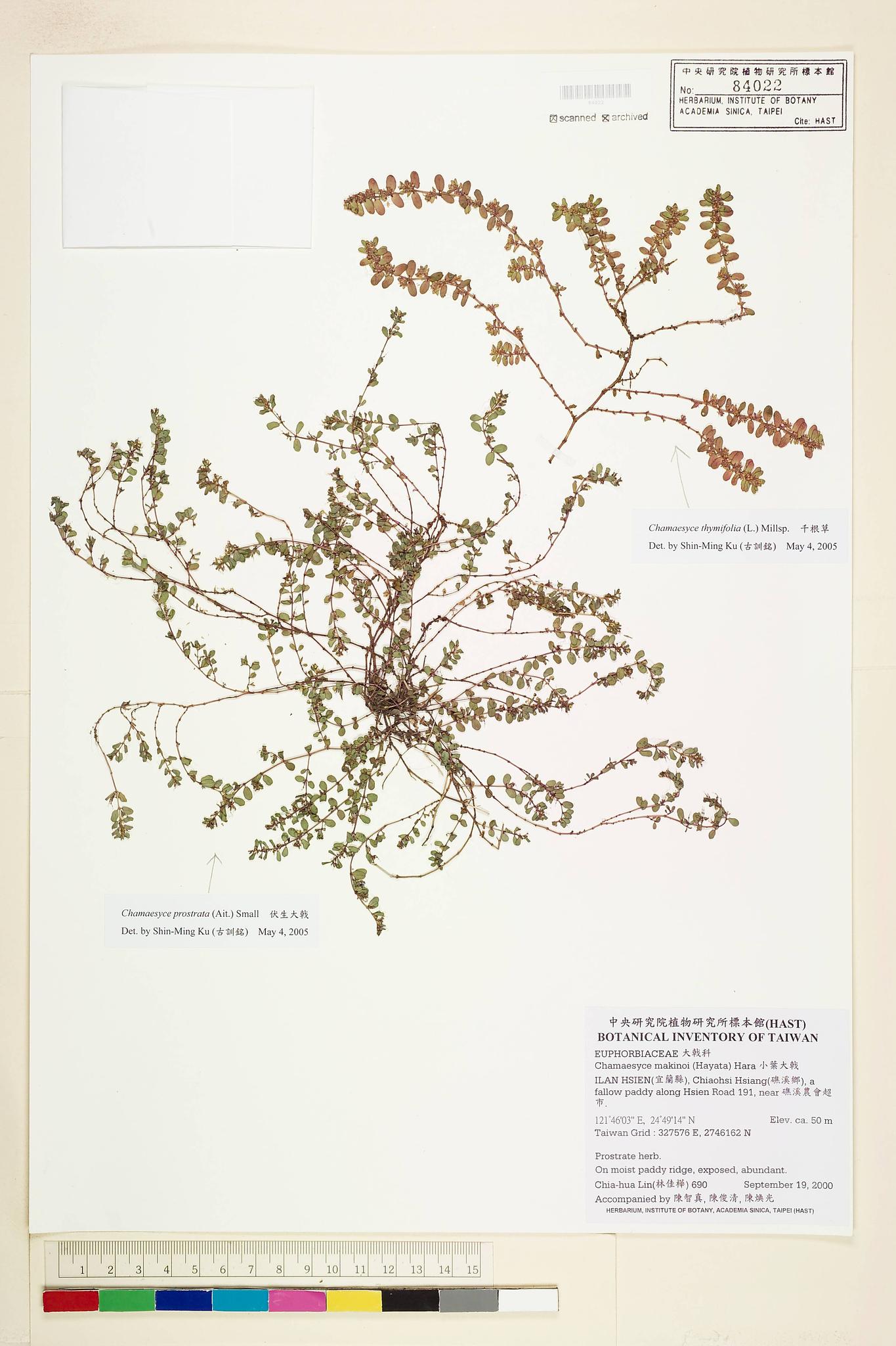 Sample image for viewer