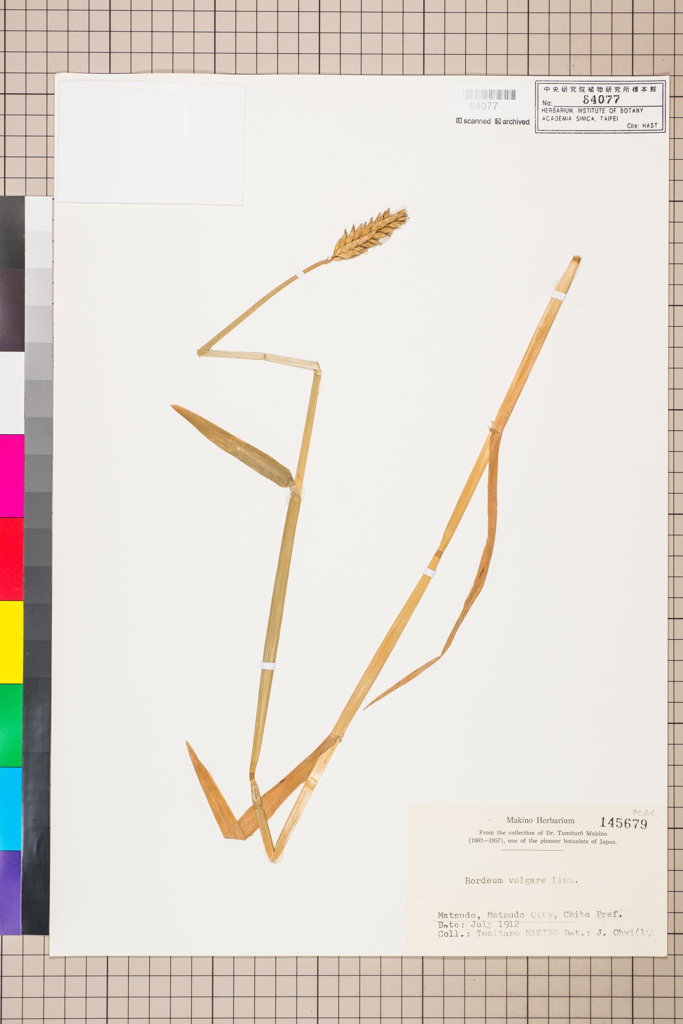 Sample image for viewer