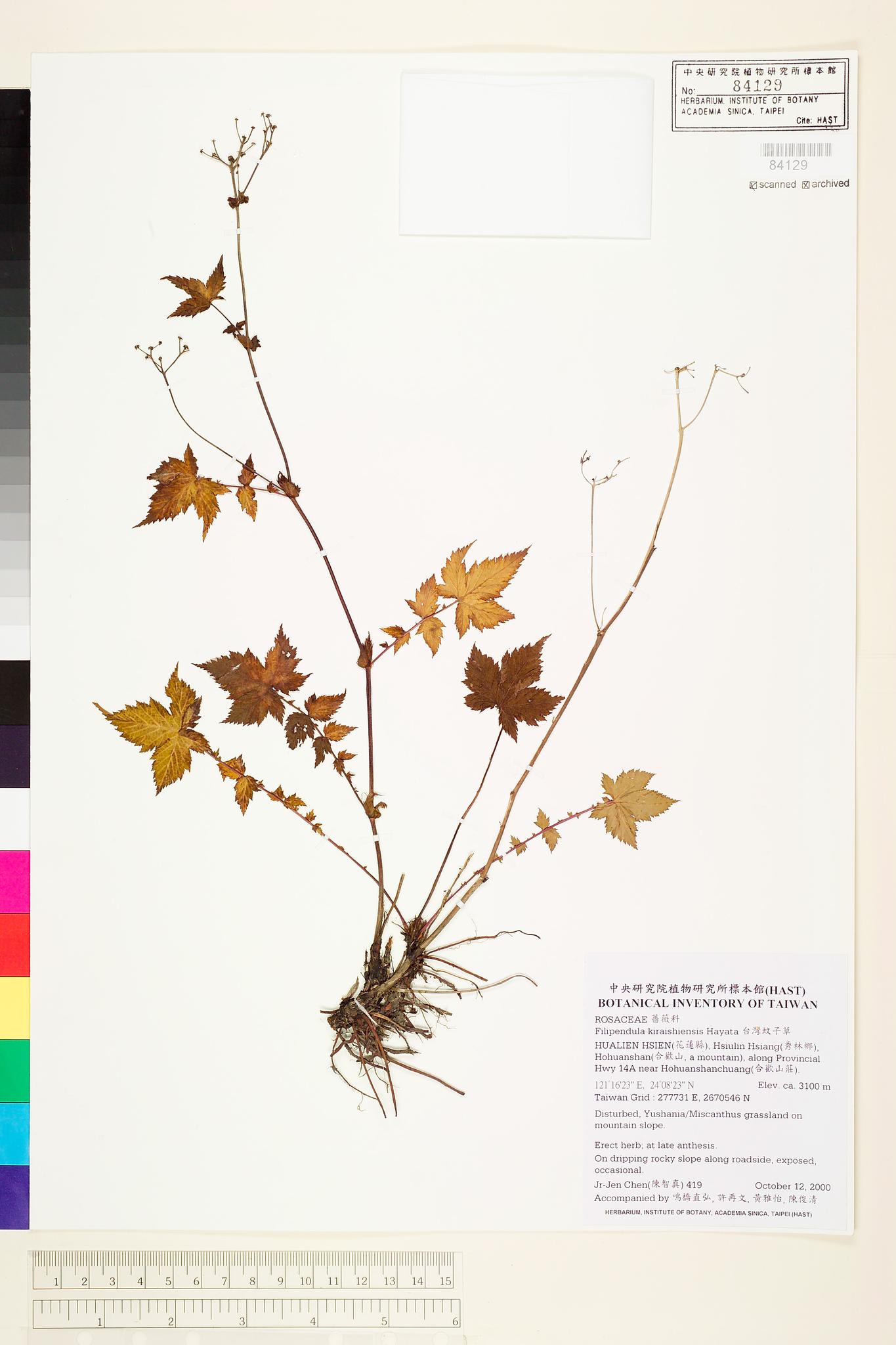 Sample image for viewer