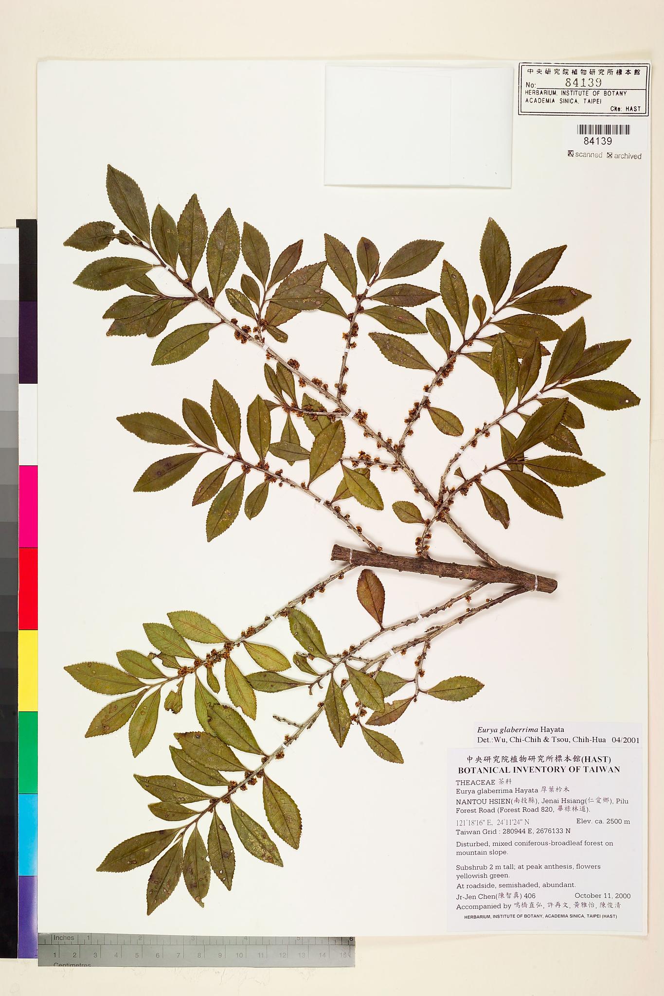 Sample image for viewer