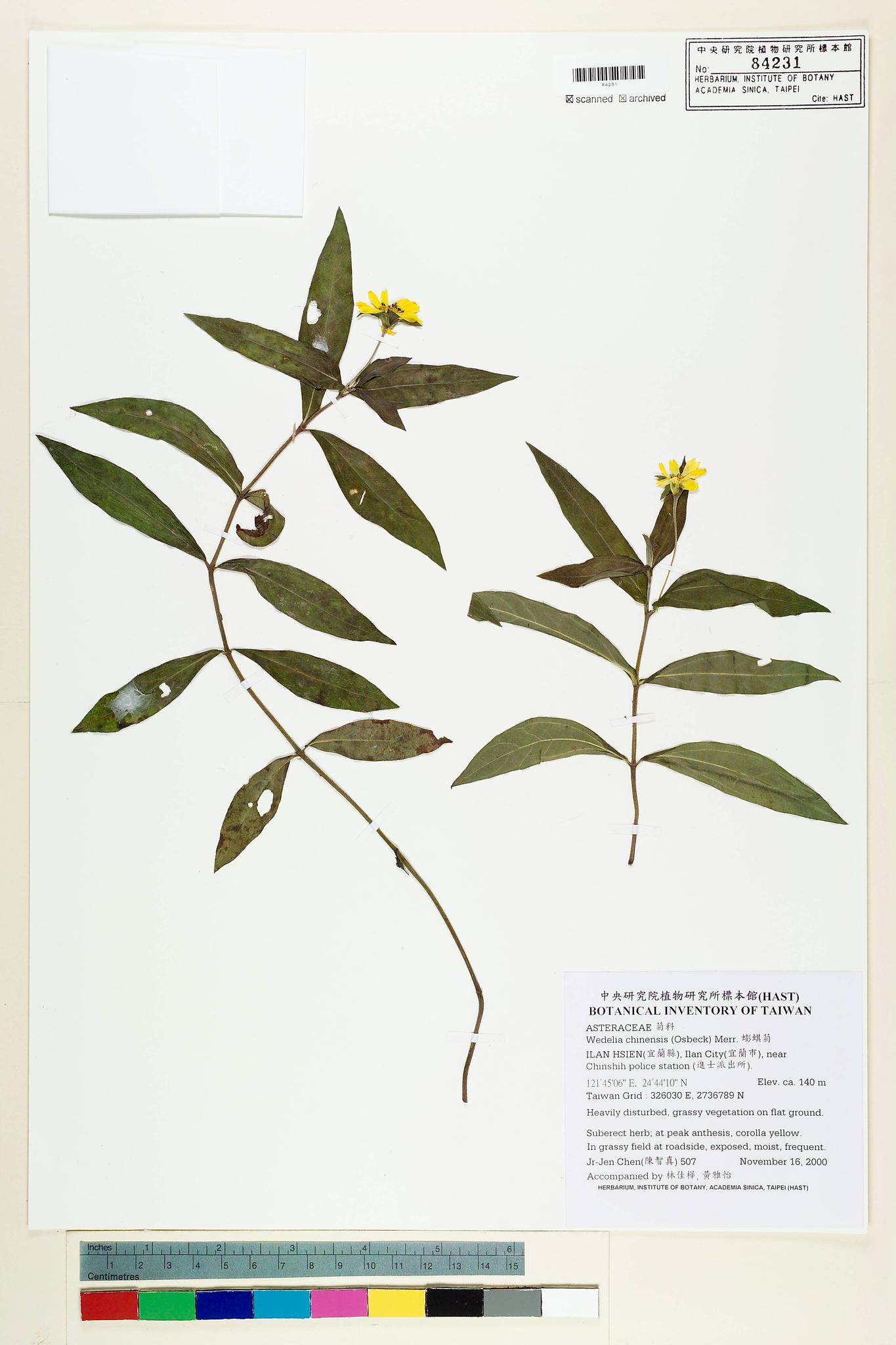 Sample image for viewer