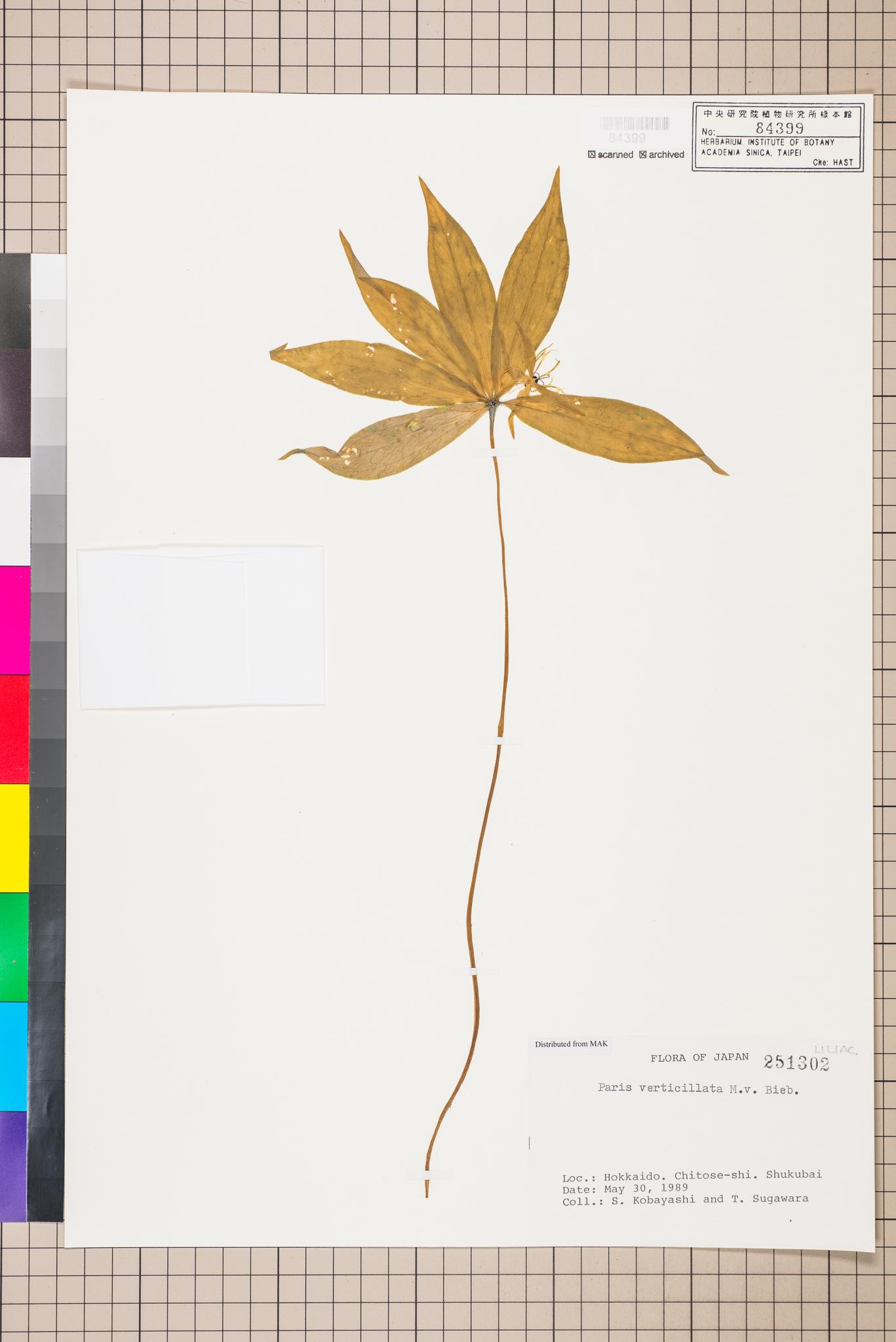 Sample image for viewer