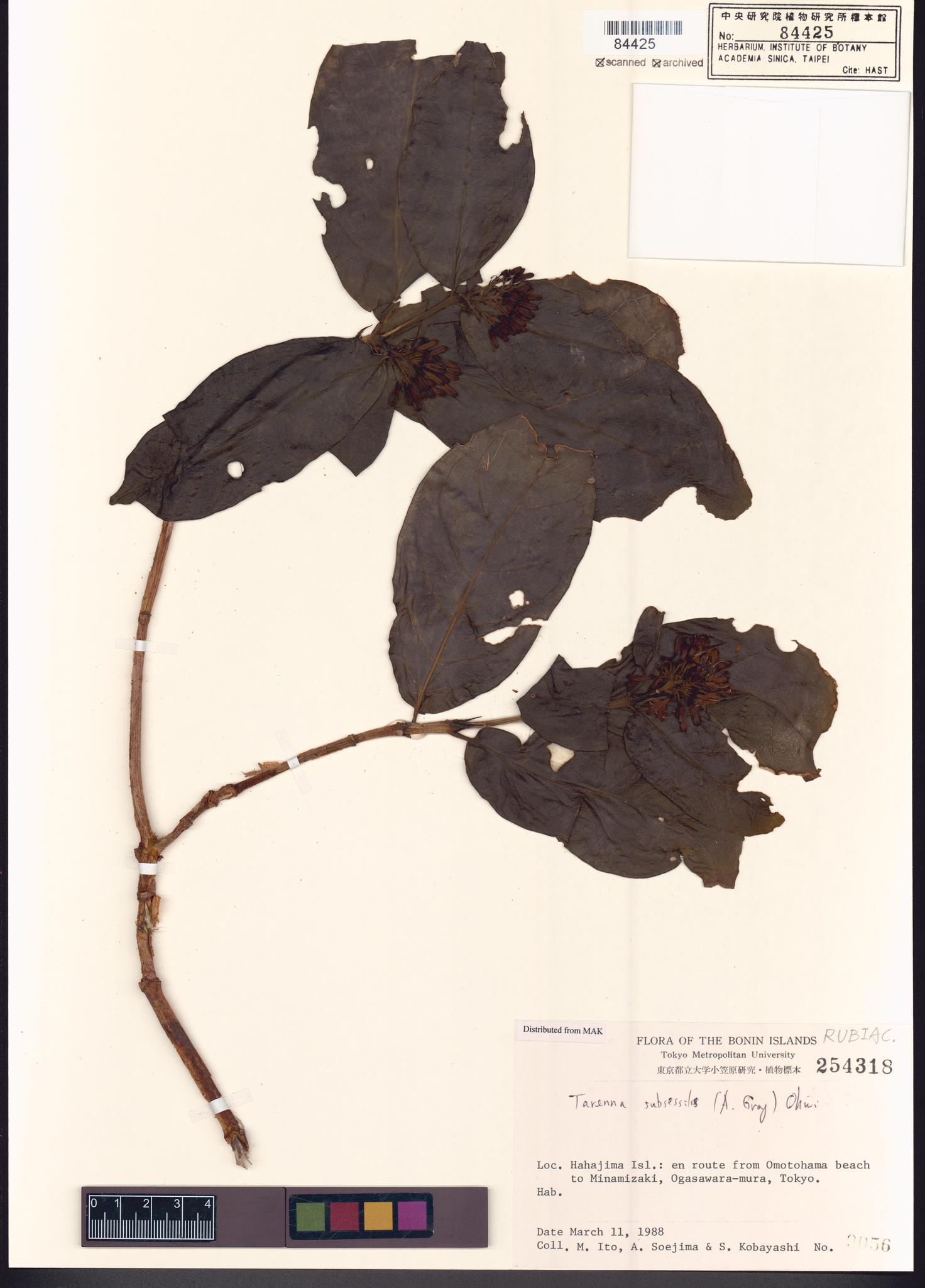 Sample image for viewer