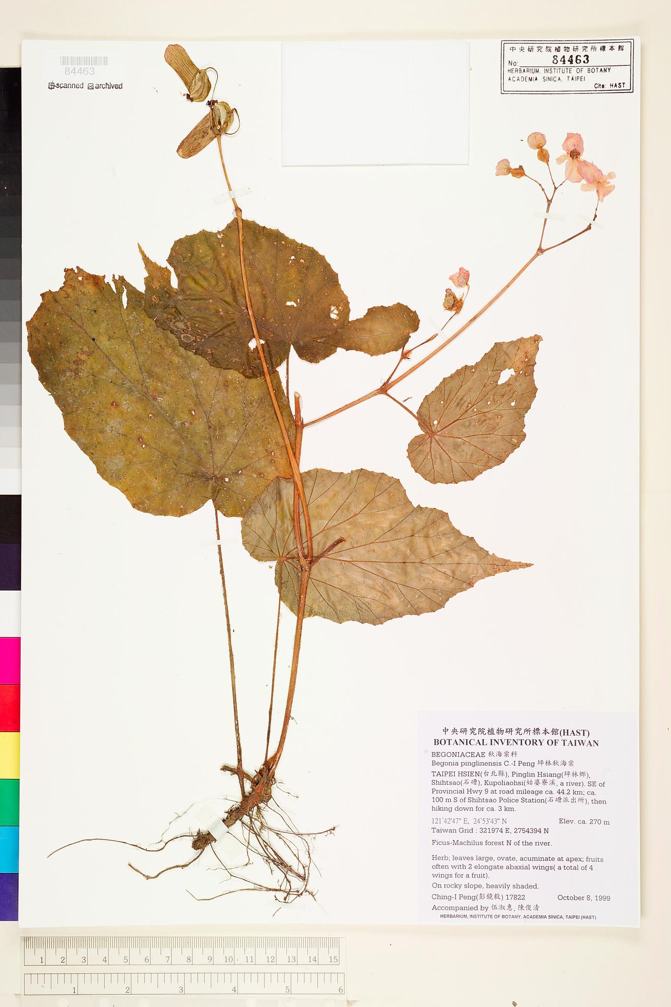 Sample image for viewer