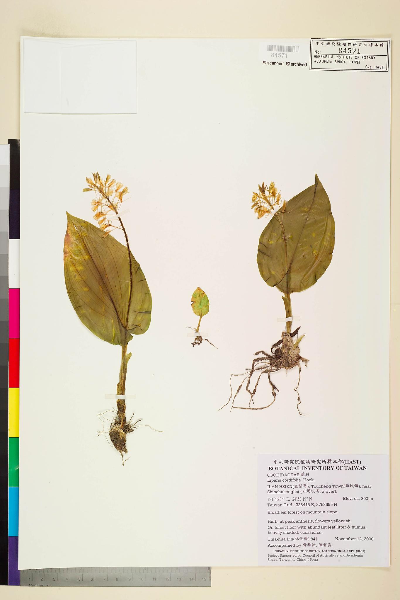 Sample image for viewer