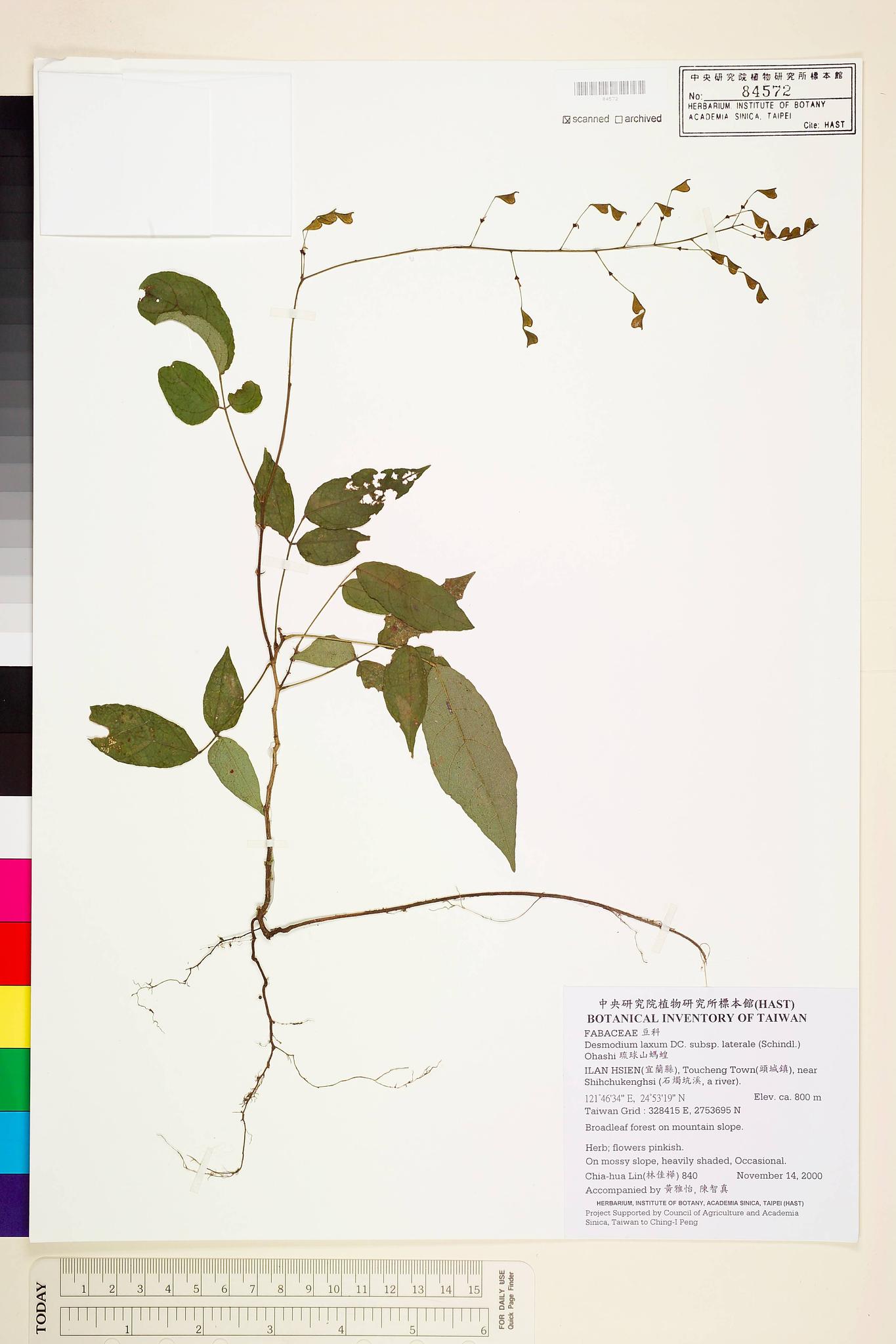 Sample image for viewer