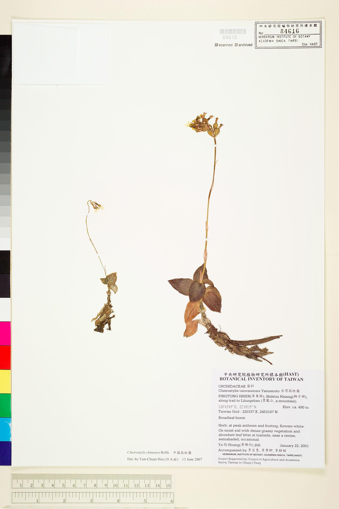 Sample image for viewer