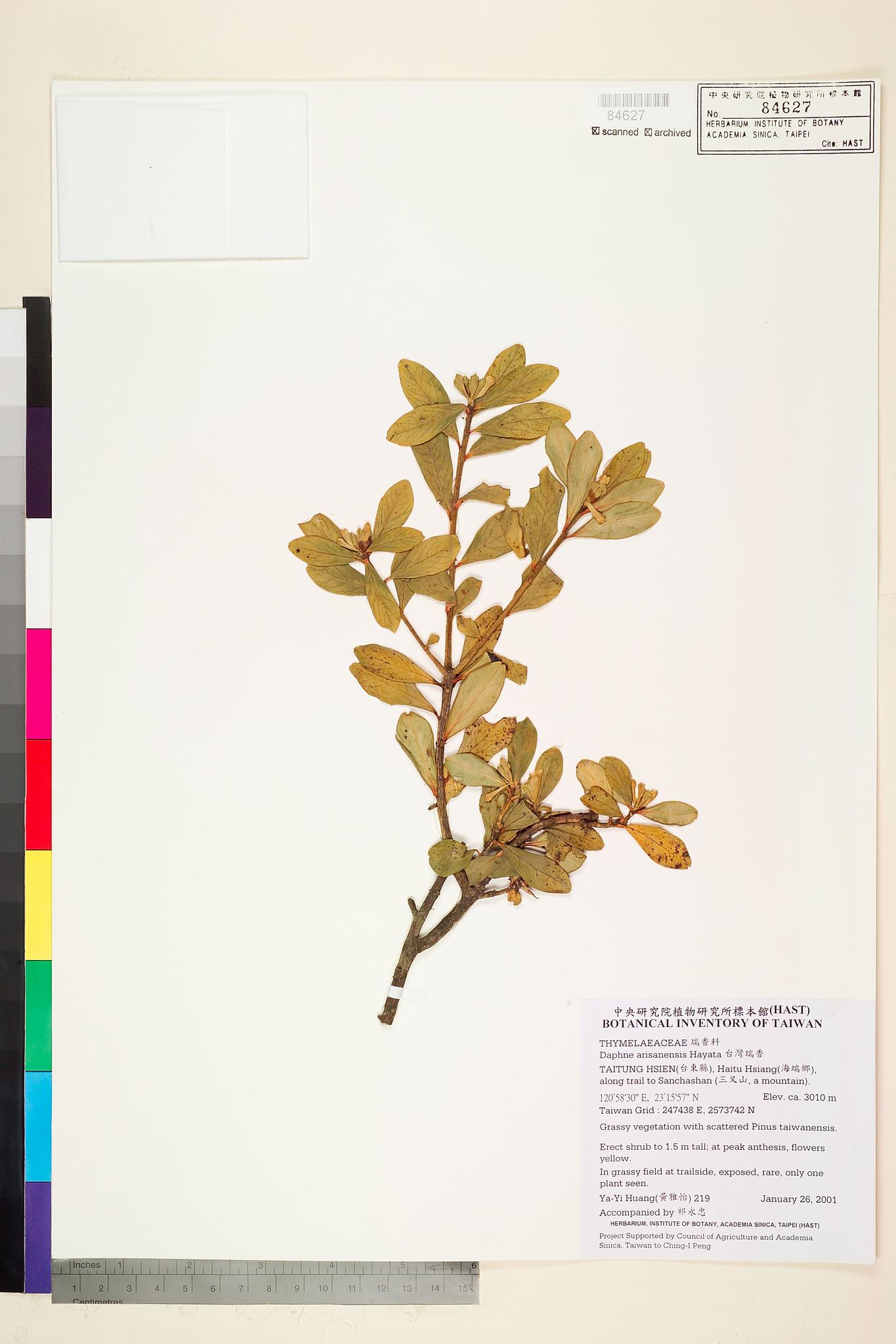 Sample image for viewer