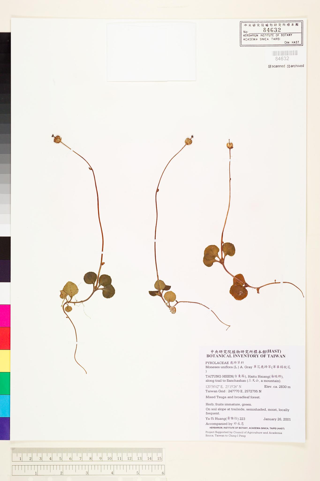 Sample image for viewer