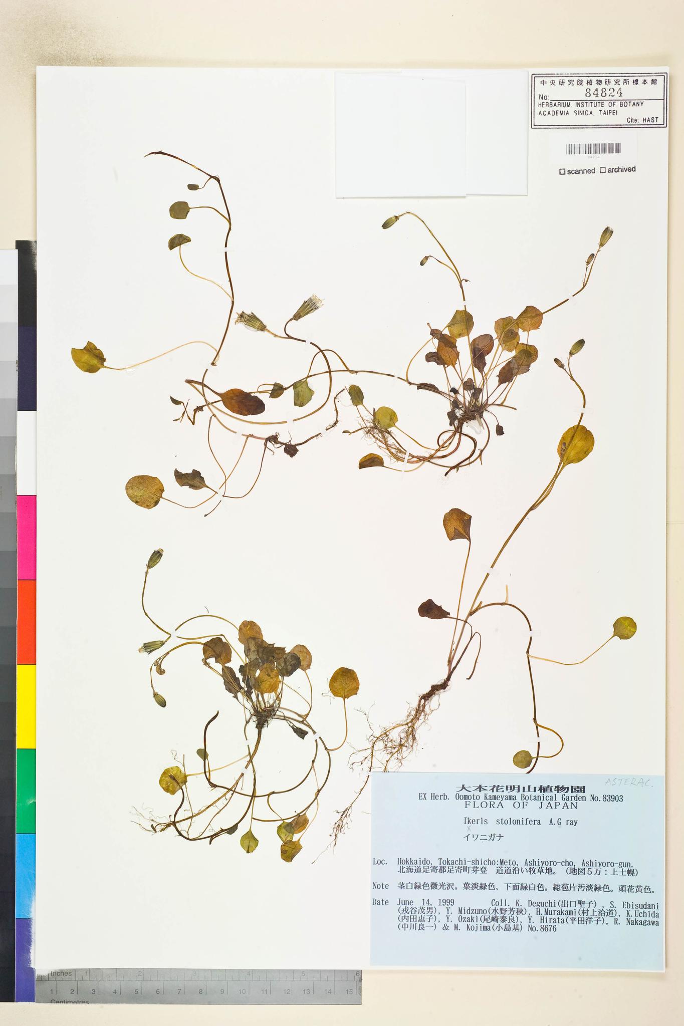 Sample image for viewer