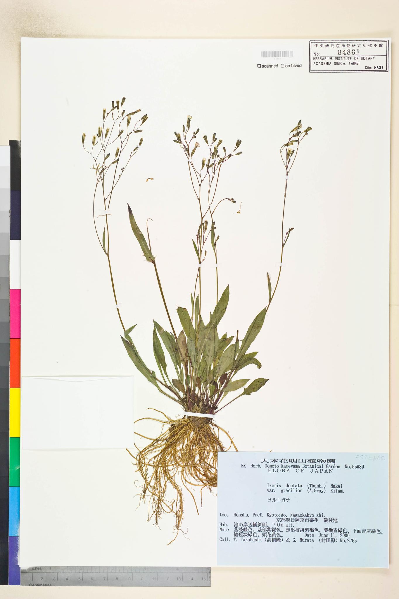 Specimen image