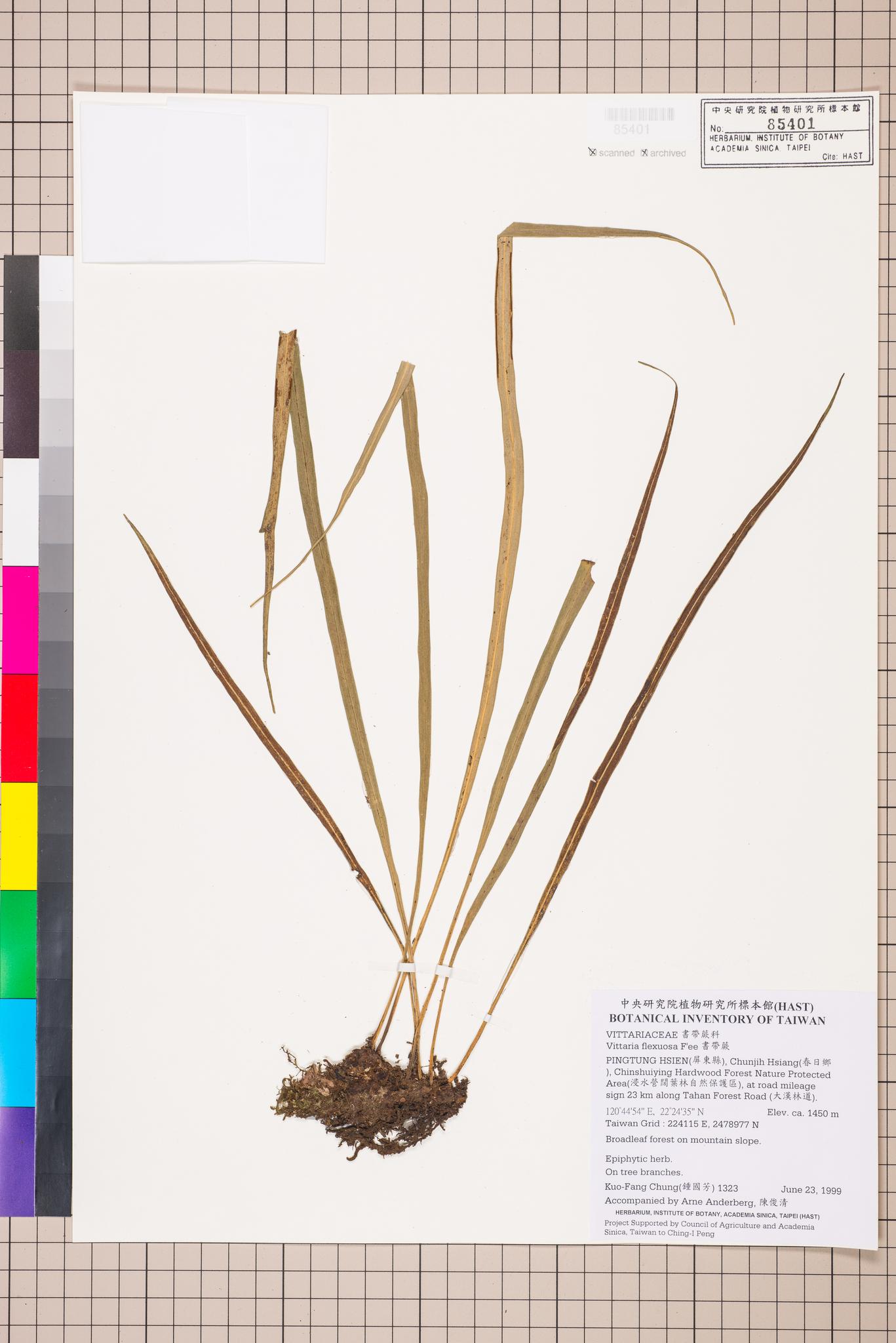 Sample image for viewer