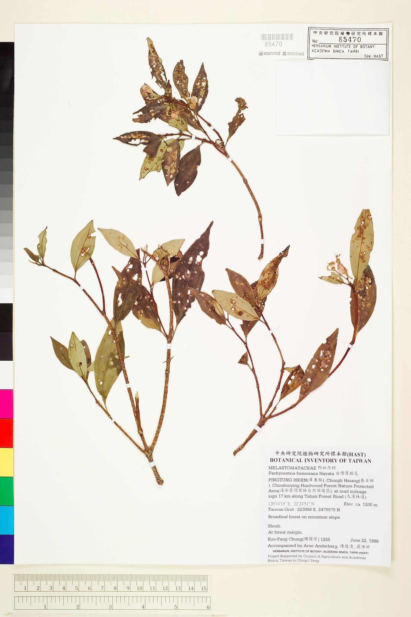 Sample image for viewer