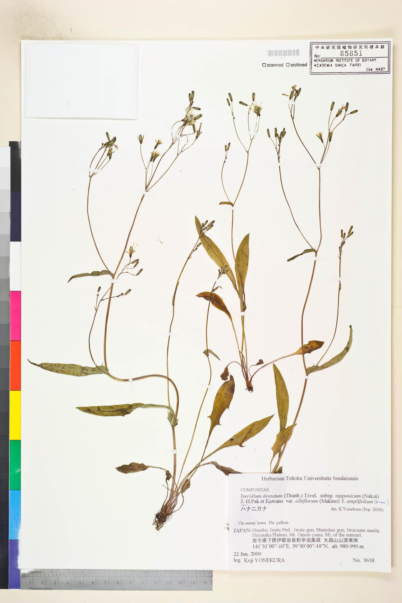 Specimen image