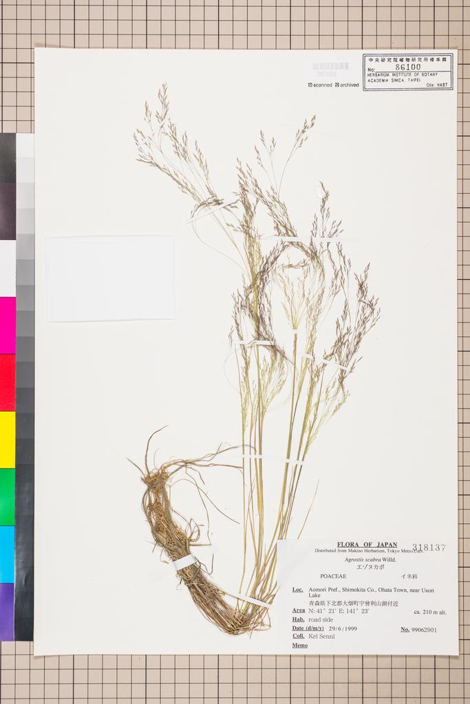<Unit #114723  | 99062901:: | Agrostis>
