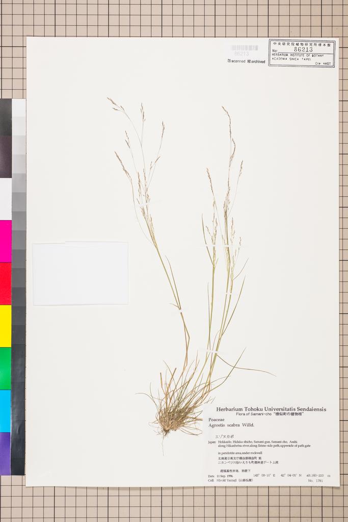 <Unit #114715  | 1781:: | Agrostis>