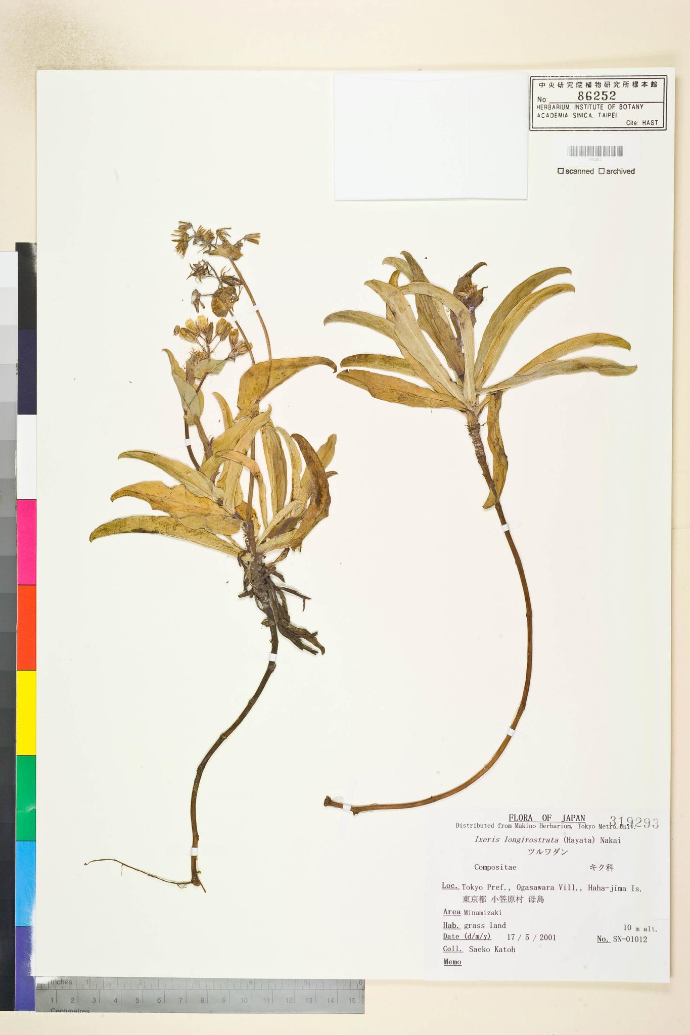 Specimen image