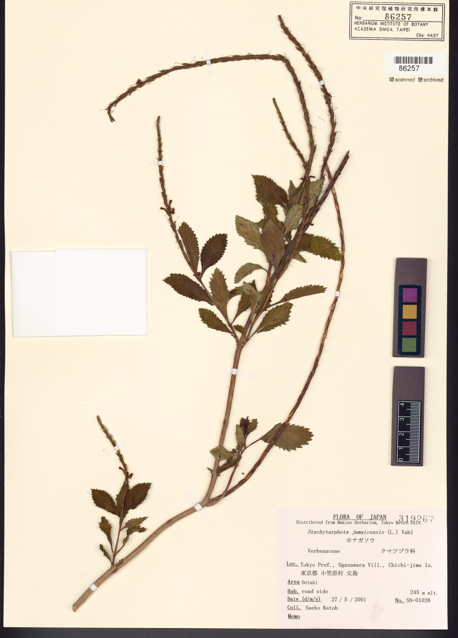 Specimen image
