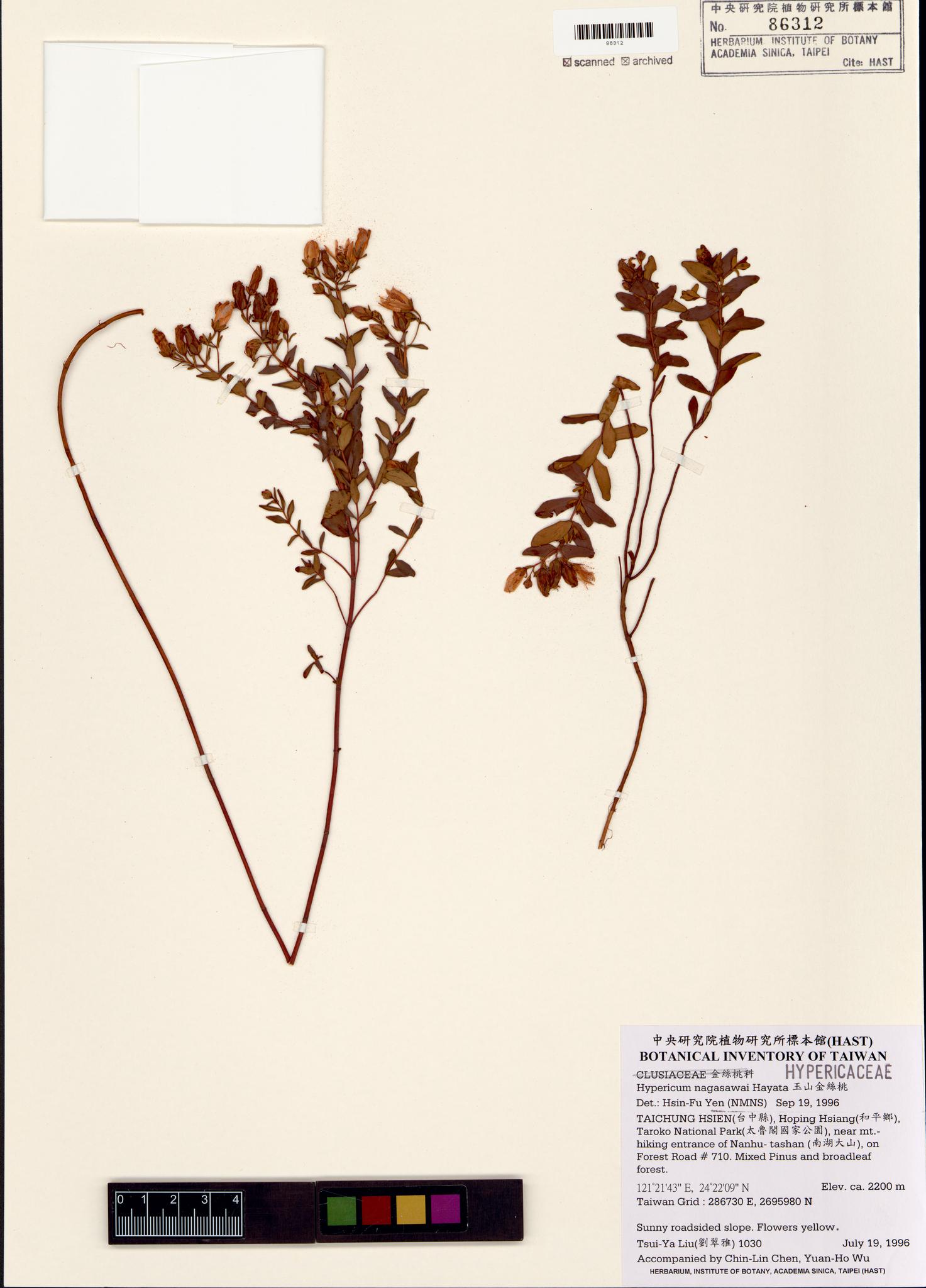 Specimen image