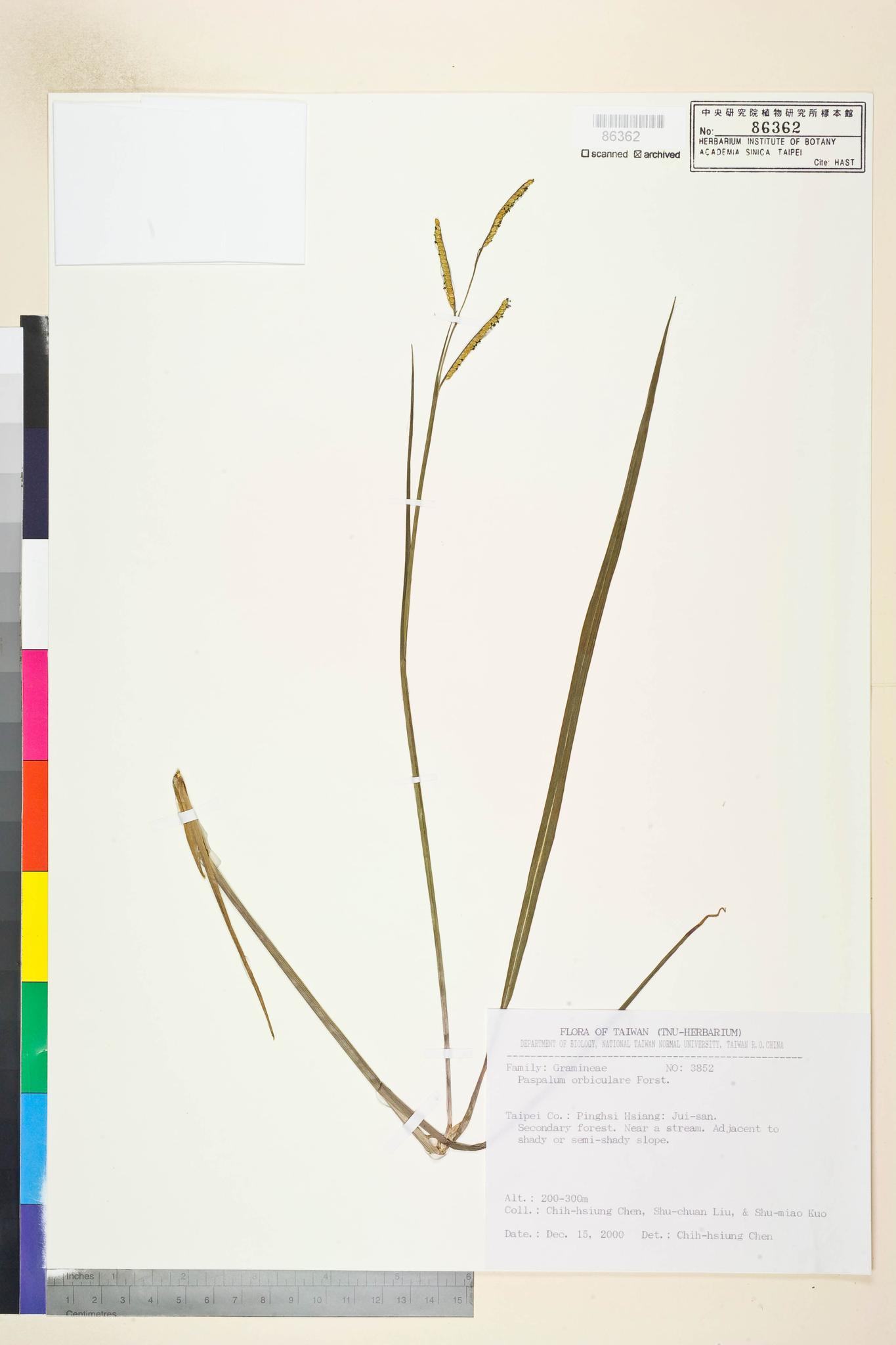 Specimen image
