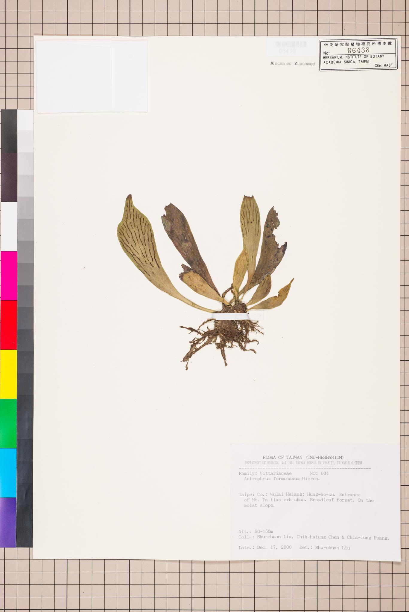 Sample image for viewer