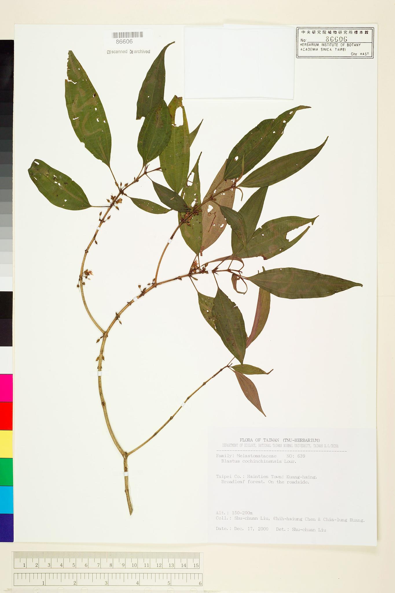 Sample image for viewer