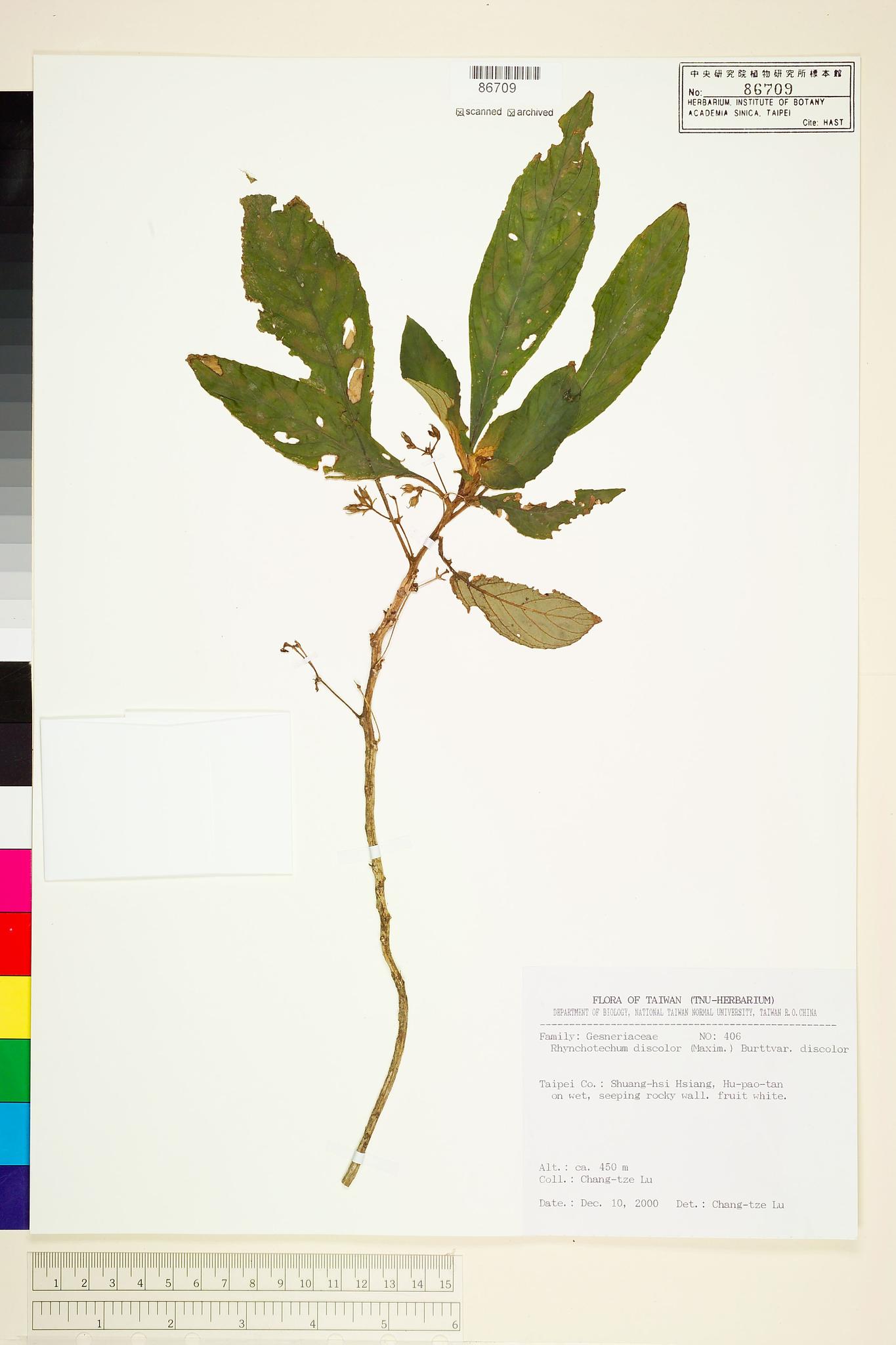 Sample image for viewer