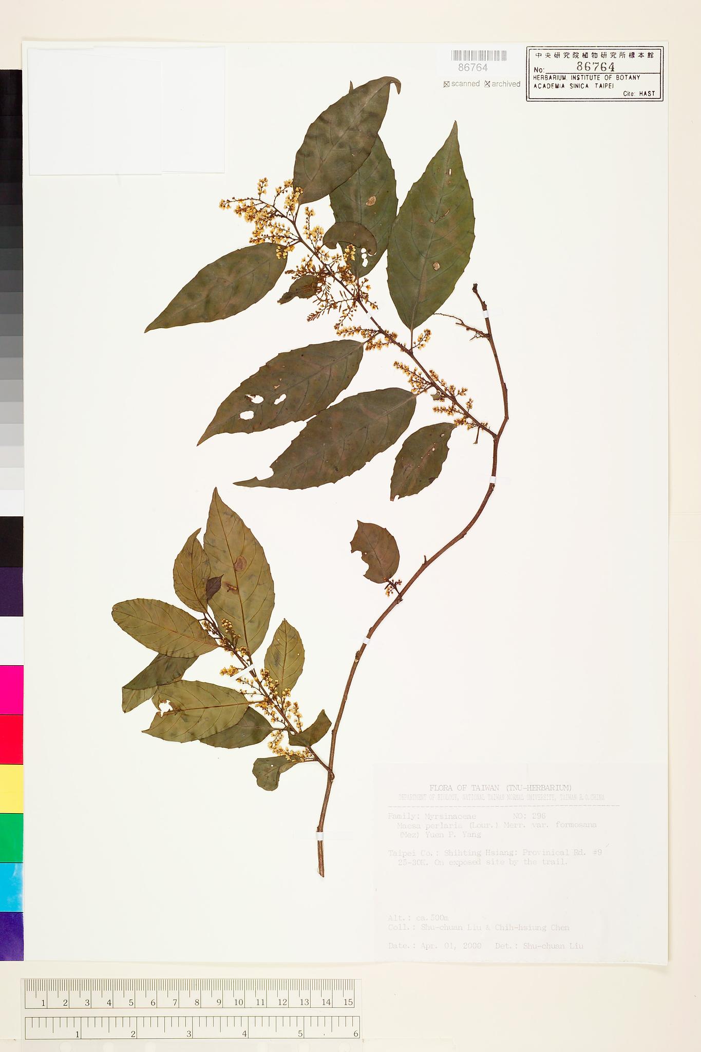 Sample image for viewer