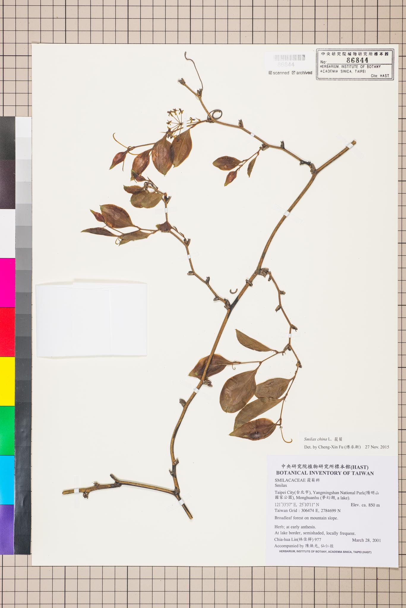 Sample image for viewer