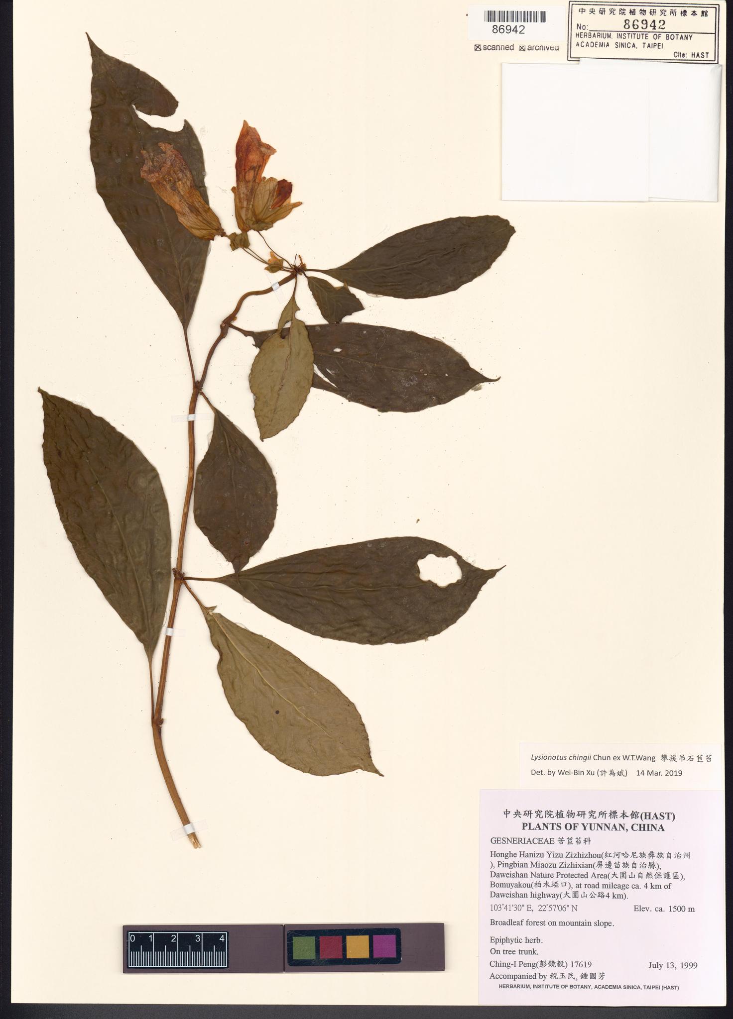 Sample image for viewer