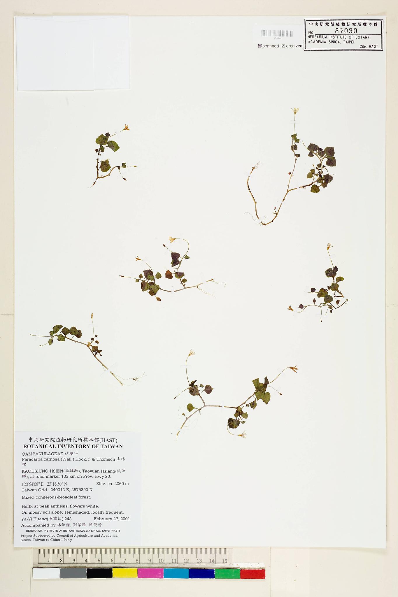 Sample image for viewer