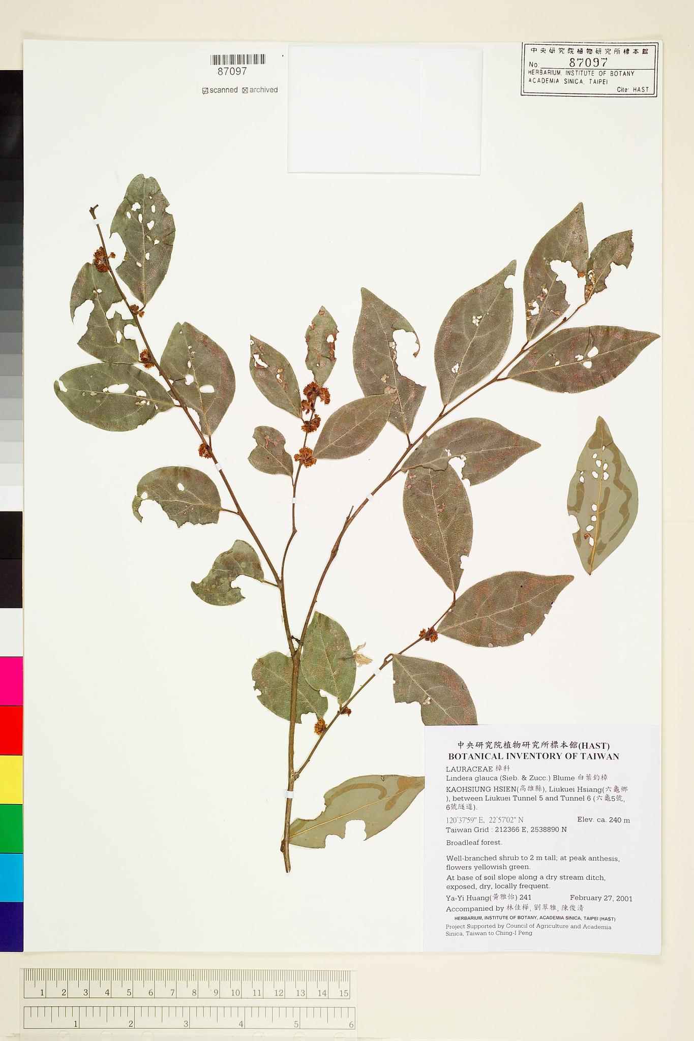 Sample image for viewer