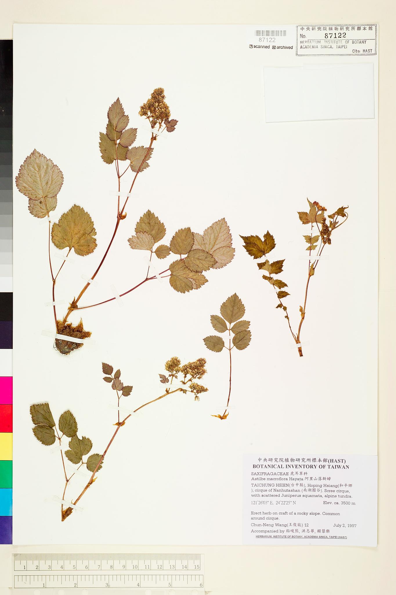 Sample image for viewer