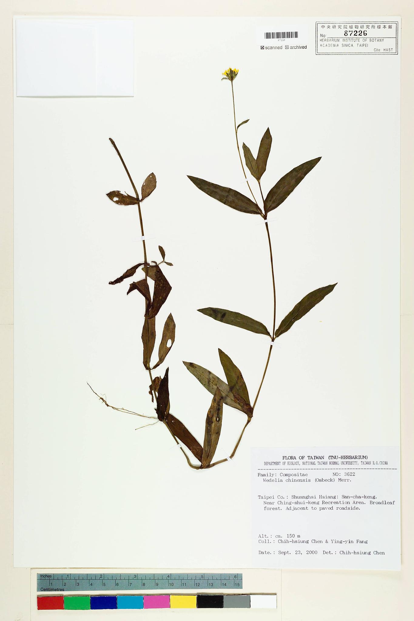 Sample image for viewer