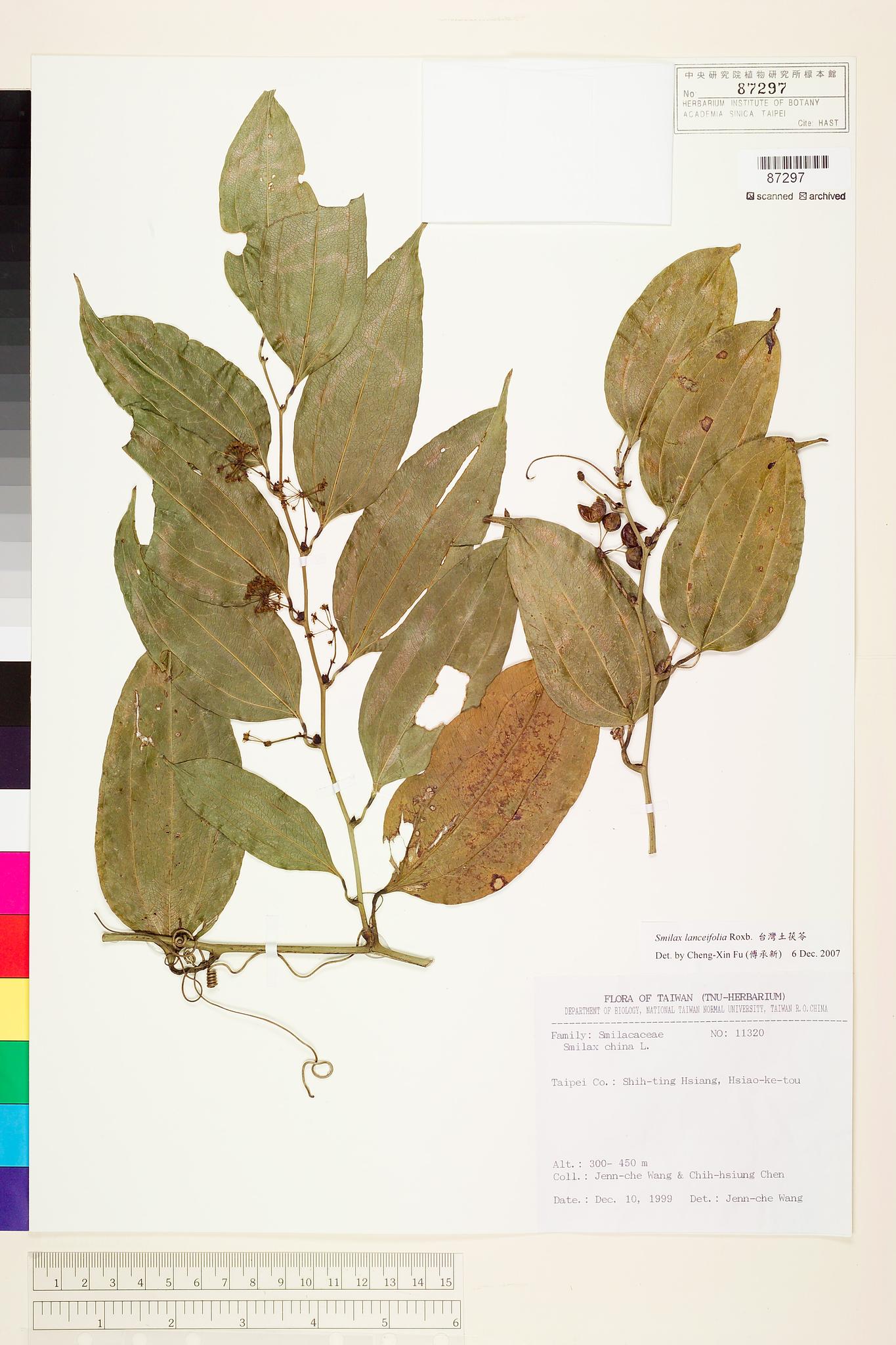 Sample image for viewer