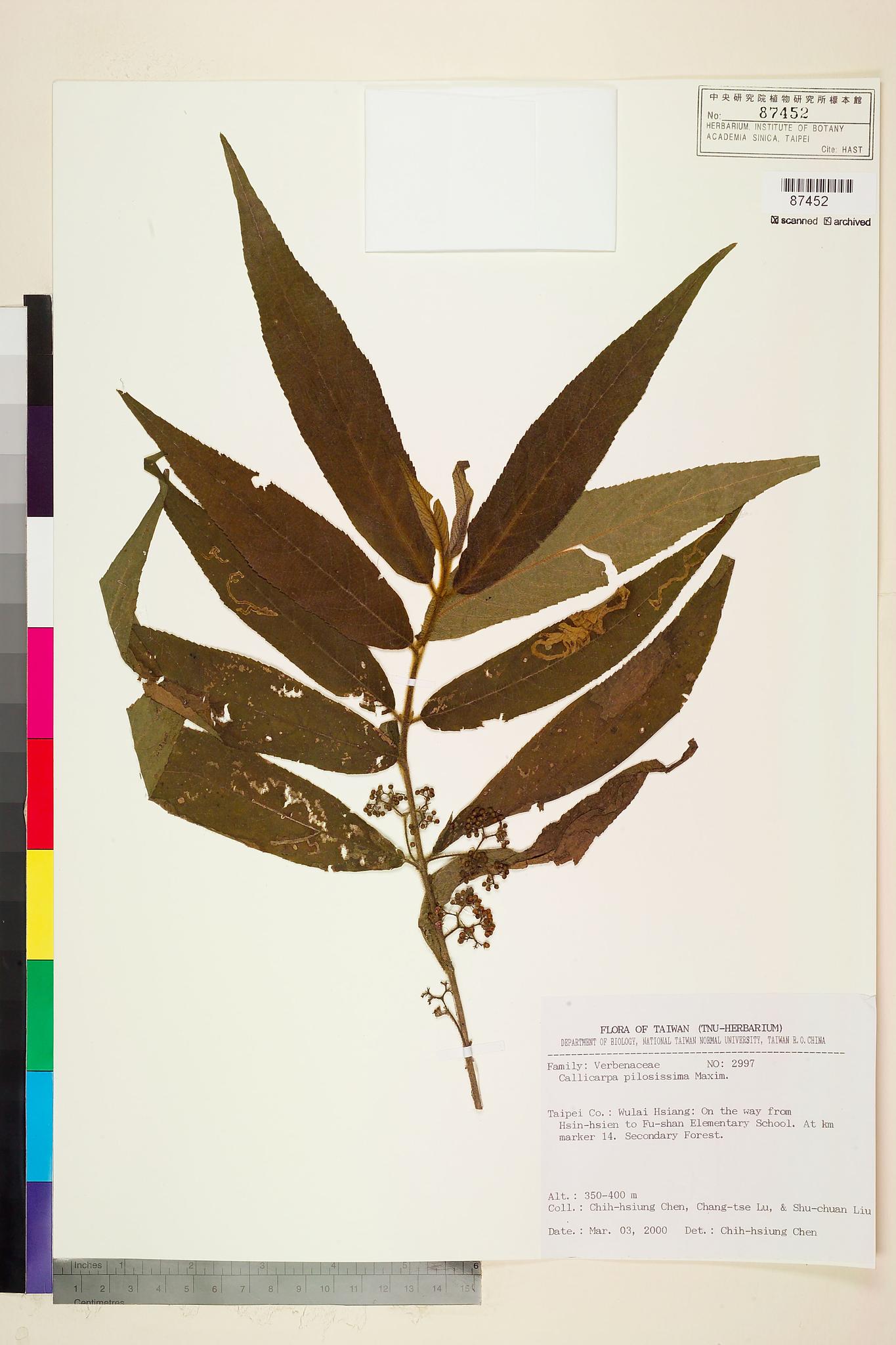 Sample image for viewer