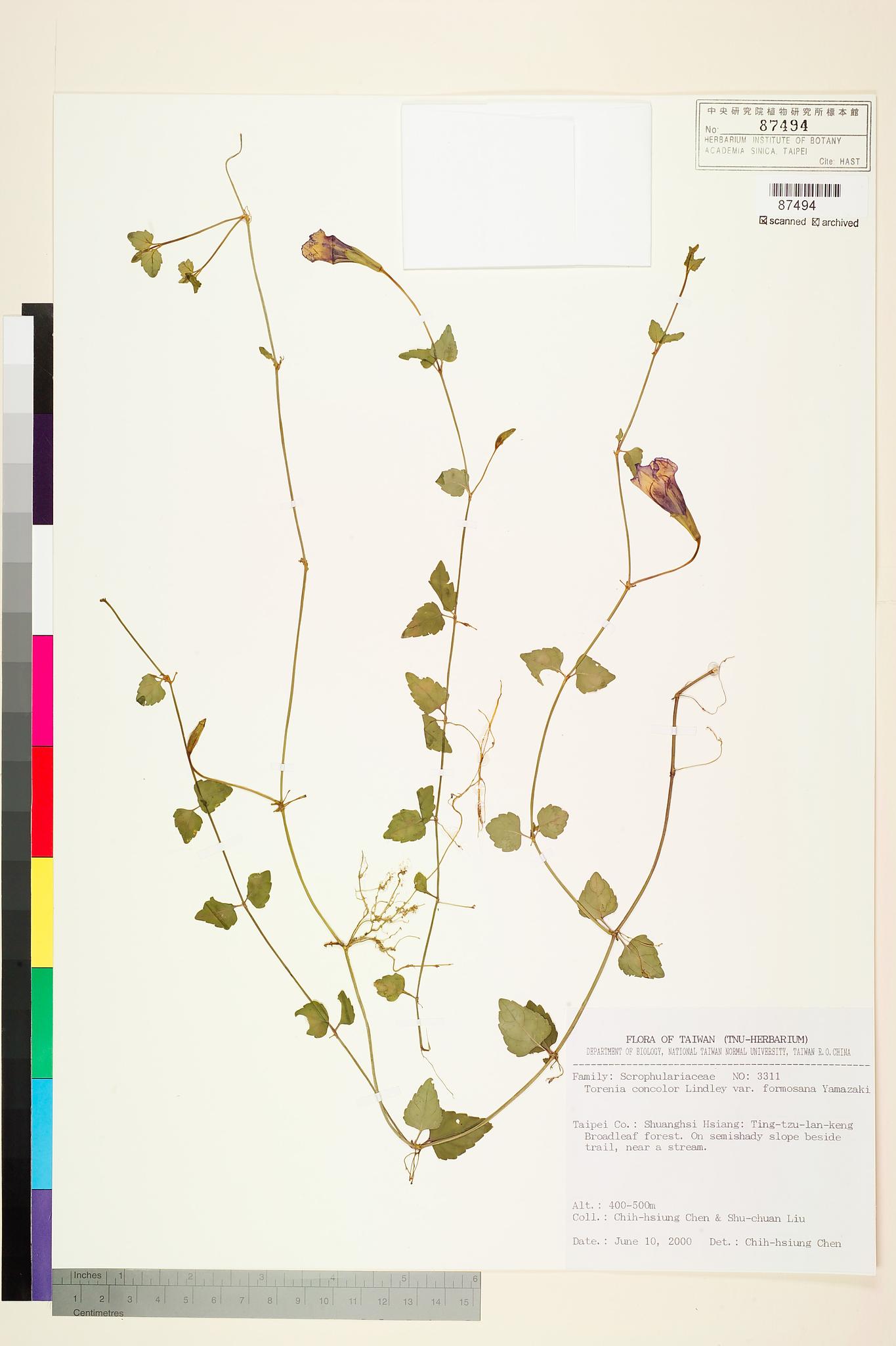 Sample image for viewer